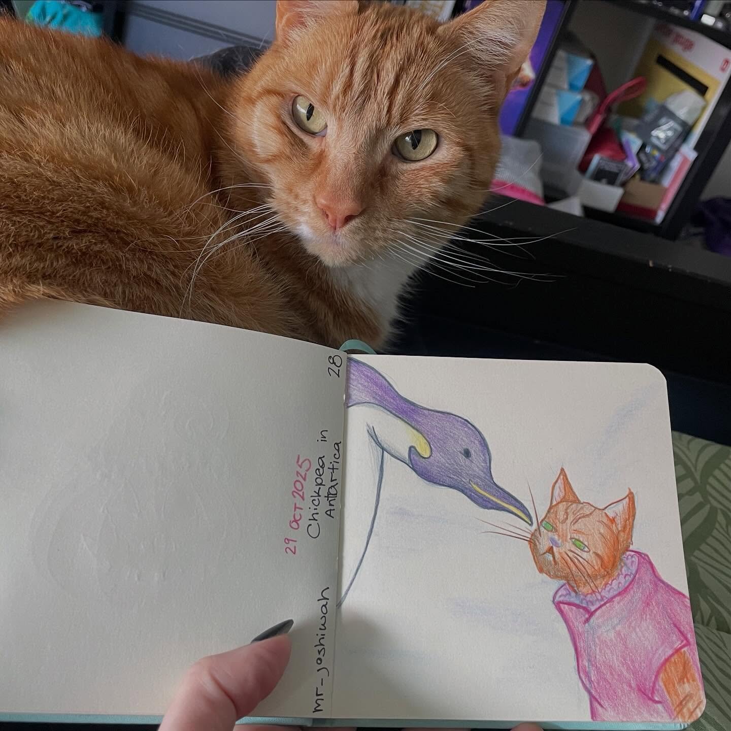 Chickpea in Antarctica! Figured he&rsquo;d be suspicious of an Emperor Penguin. 🐧 Thanks @mr_joshiwah for the suggestion!