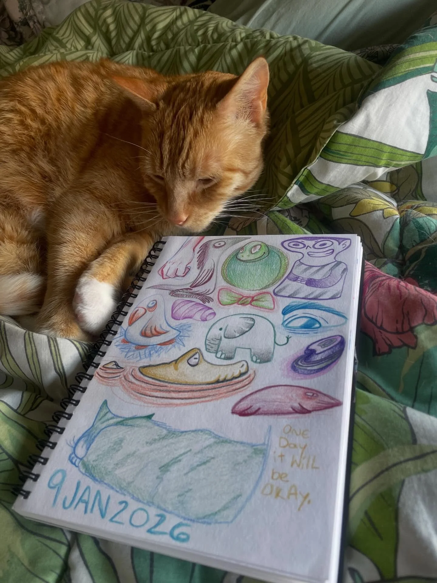 A post of sketches from the past few weeks! And chickpea is helping! Lots of colored pencil pages to entice your eyes. 👀