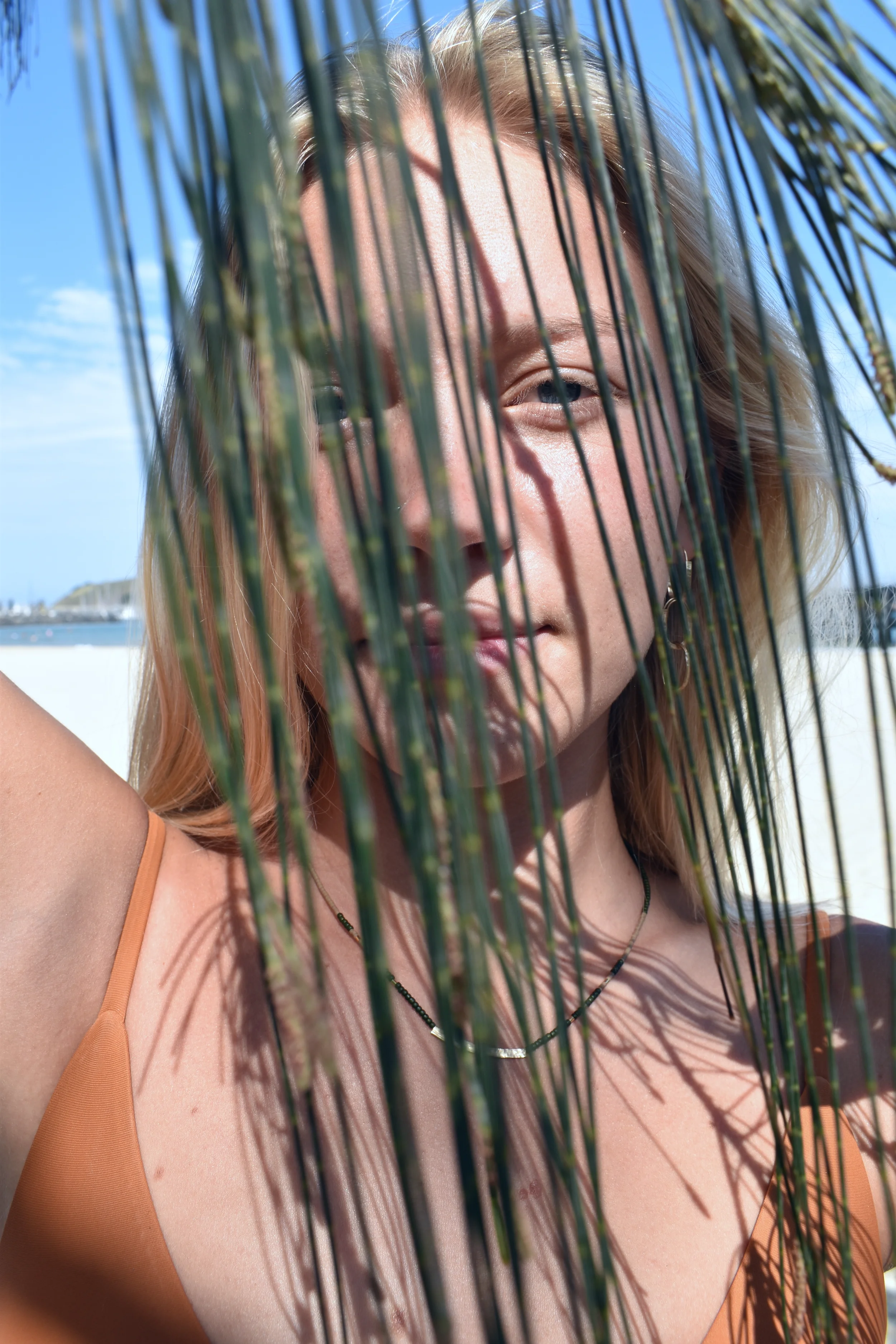 DSC_1989.webp