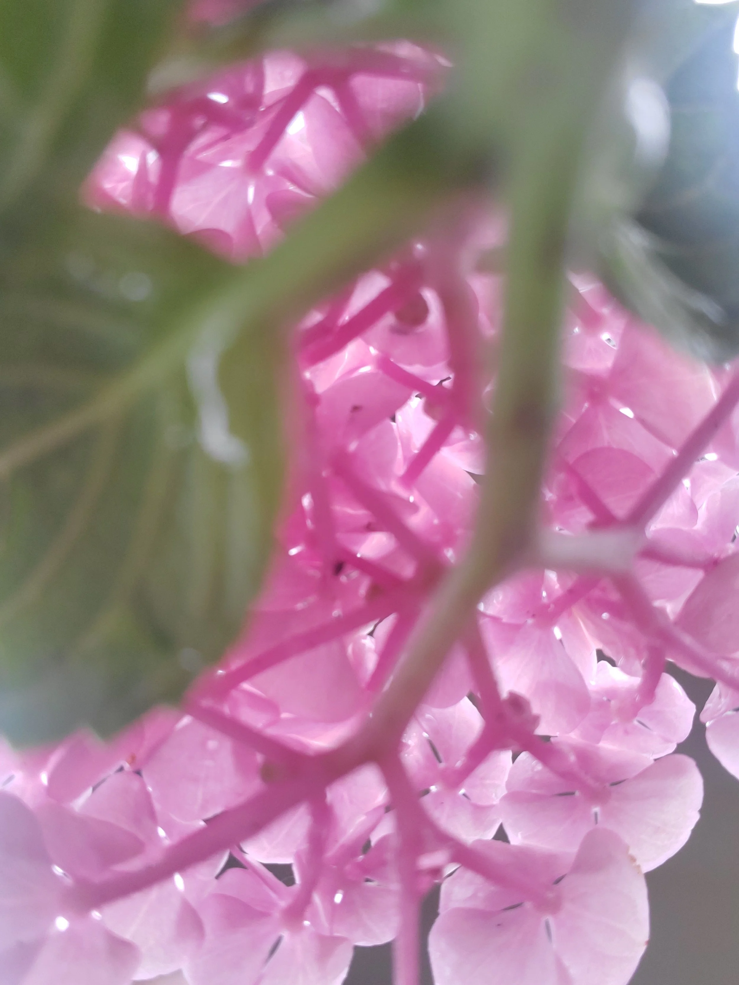 A Thoughtful Love Box - Delivered