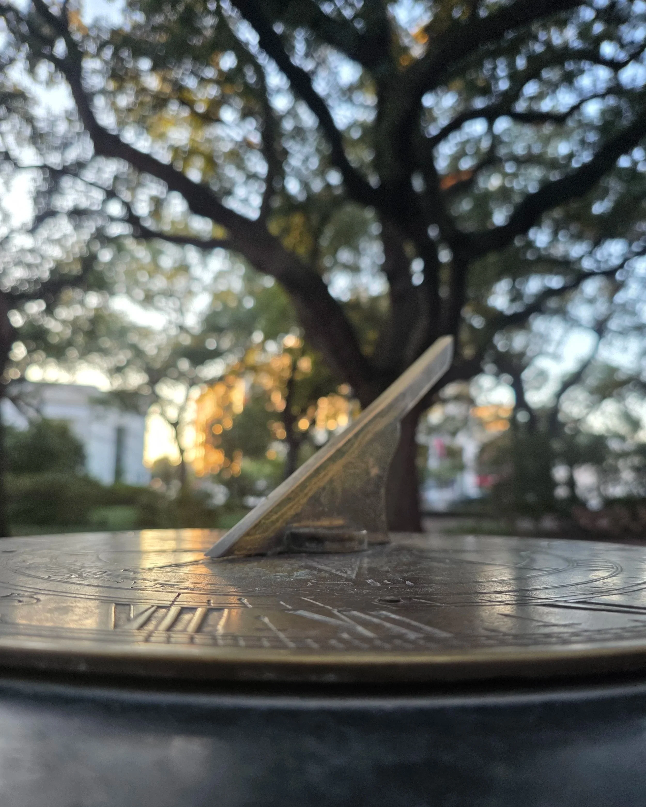Beyond the Rental Key: What a Savannah Concierge Really Brings to Your Stay