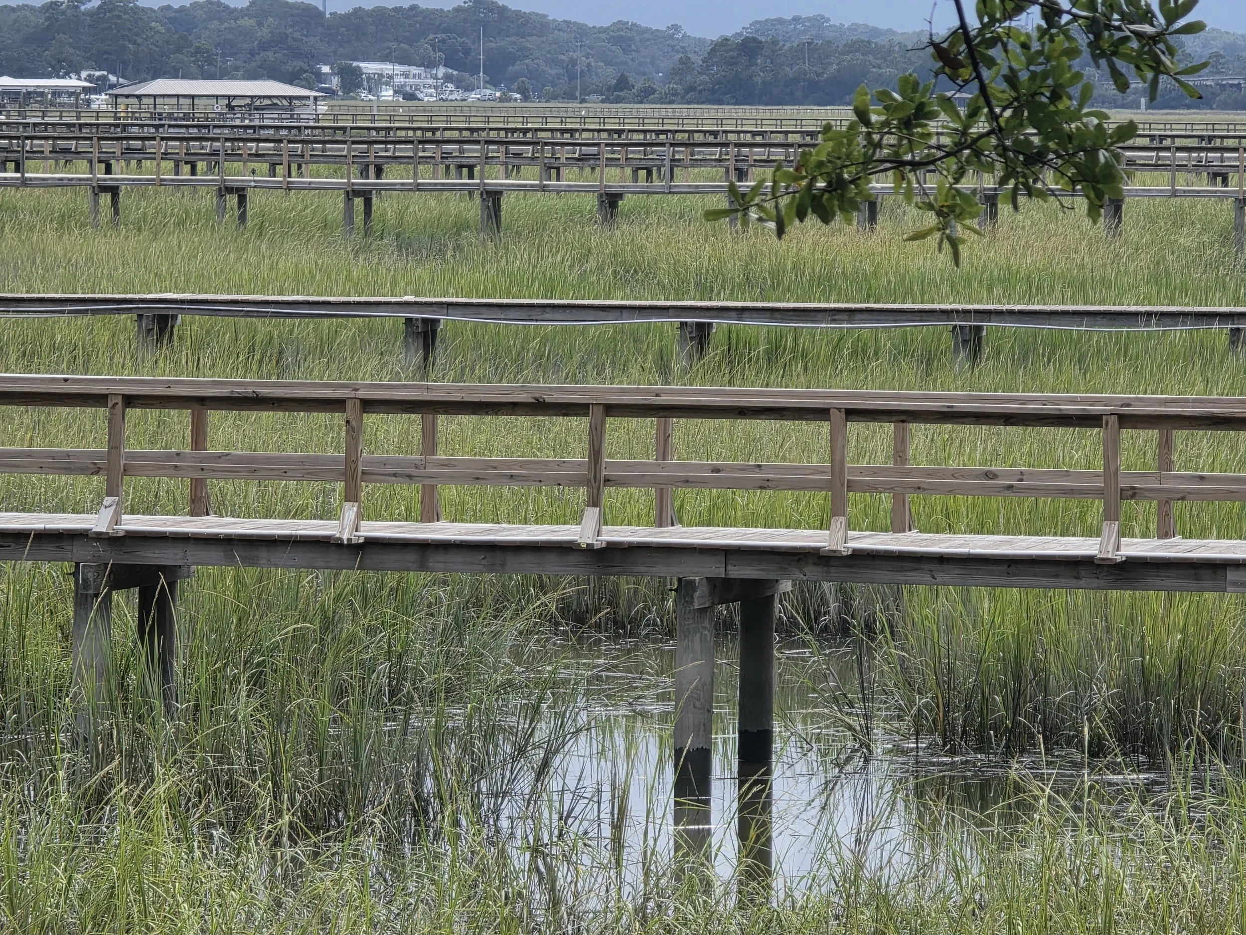 The Return Home Ritual: Curating Your Savannah Second Home