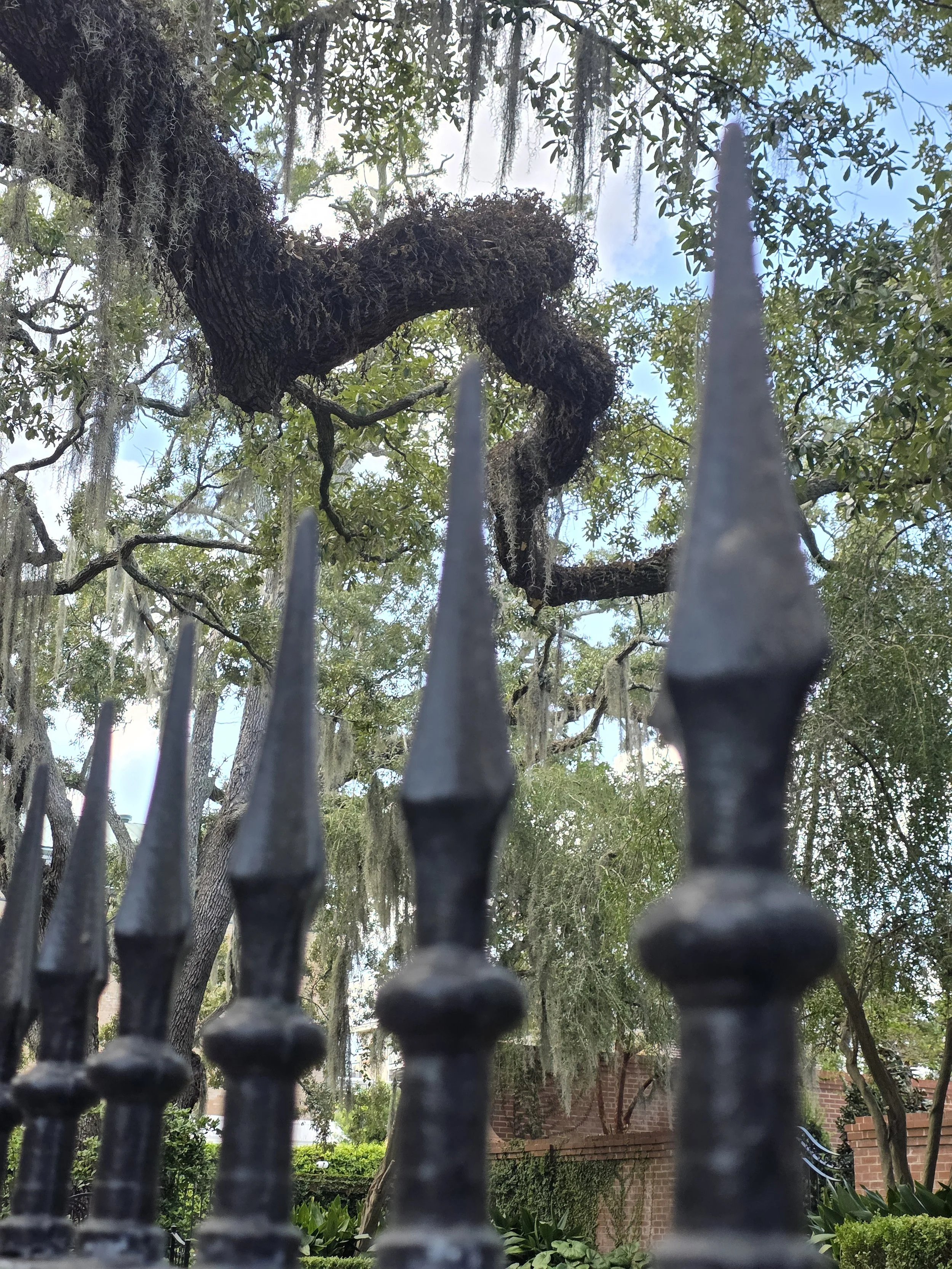 Downtown wrought iron