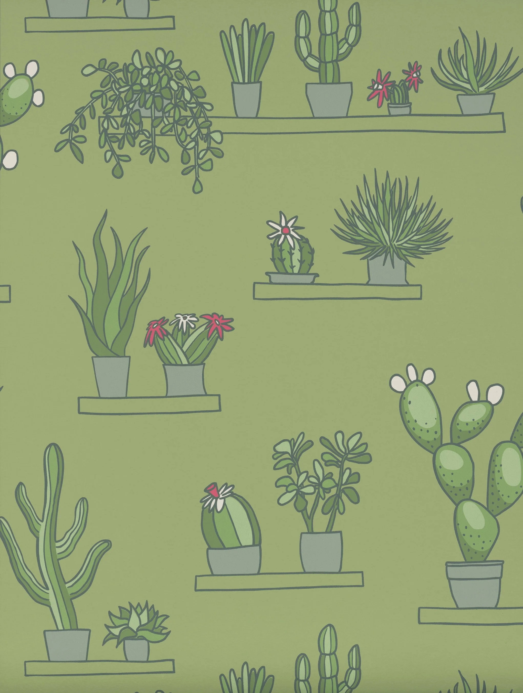 Mr Straw's Greenhouse - Garden