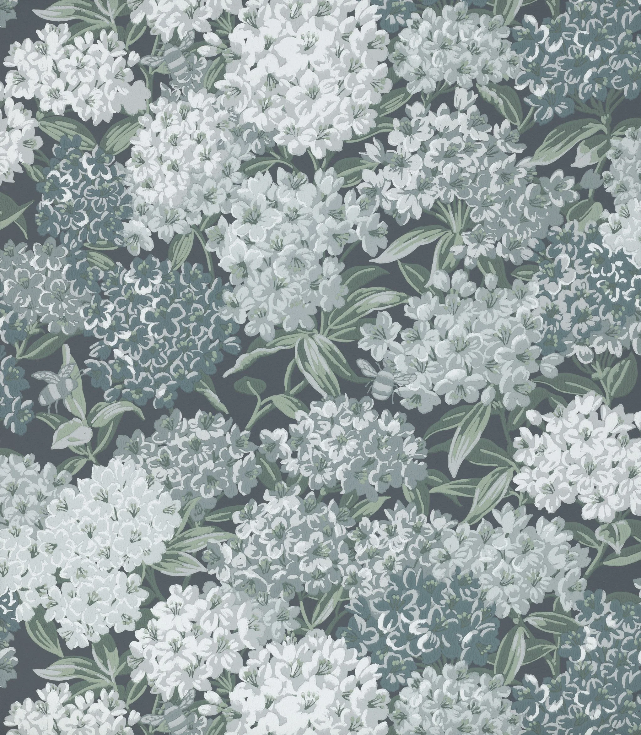 Rhododendron Walk - Hicks' Blue