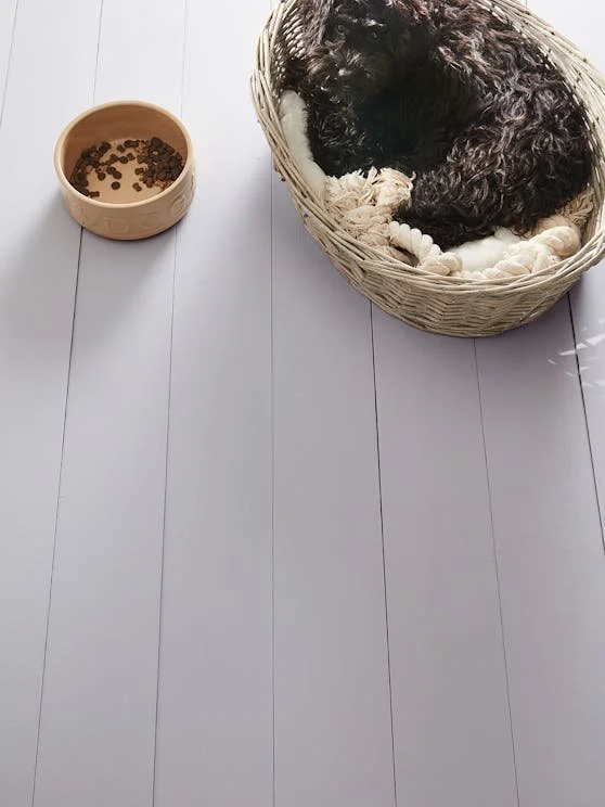 A black curly-haired dog sleeping in a wicker basket on a white floor, with a beige bowl of dry dog food nearby.
