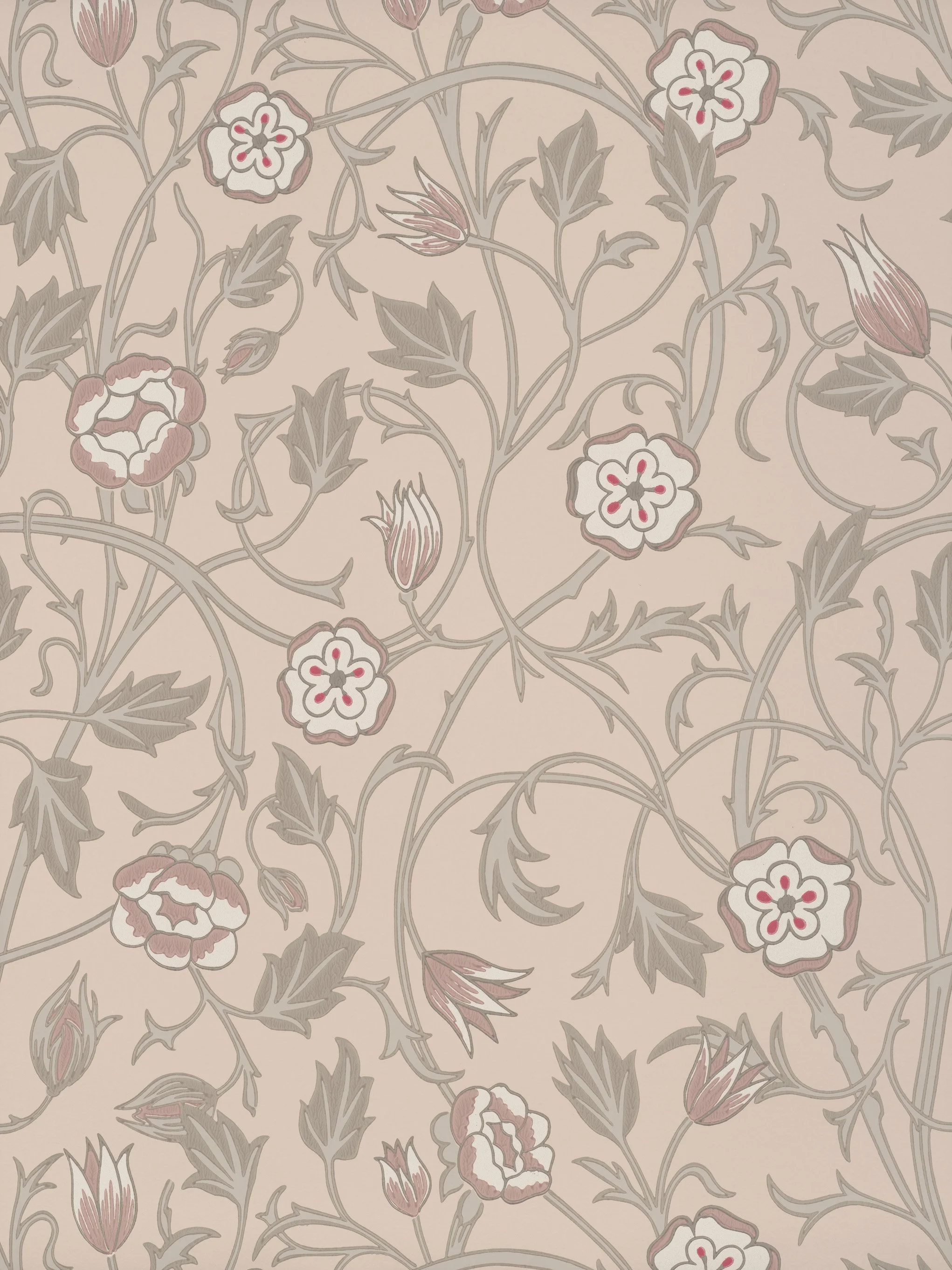 May's Tulip - Castell Pink