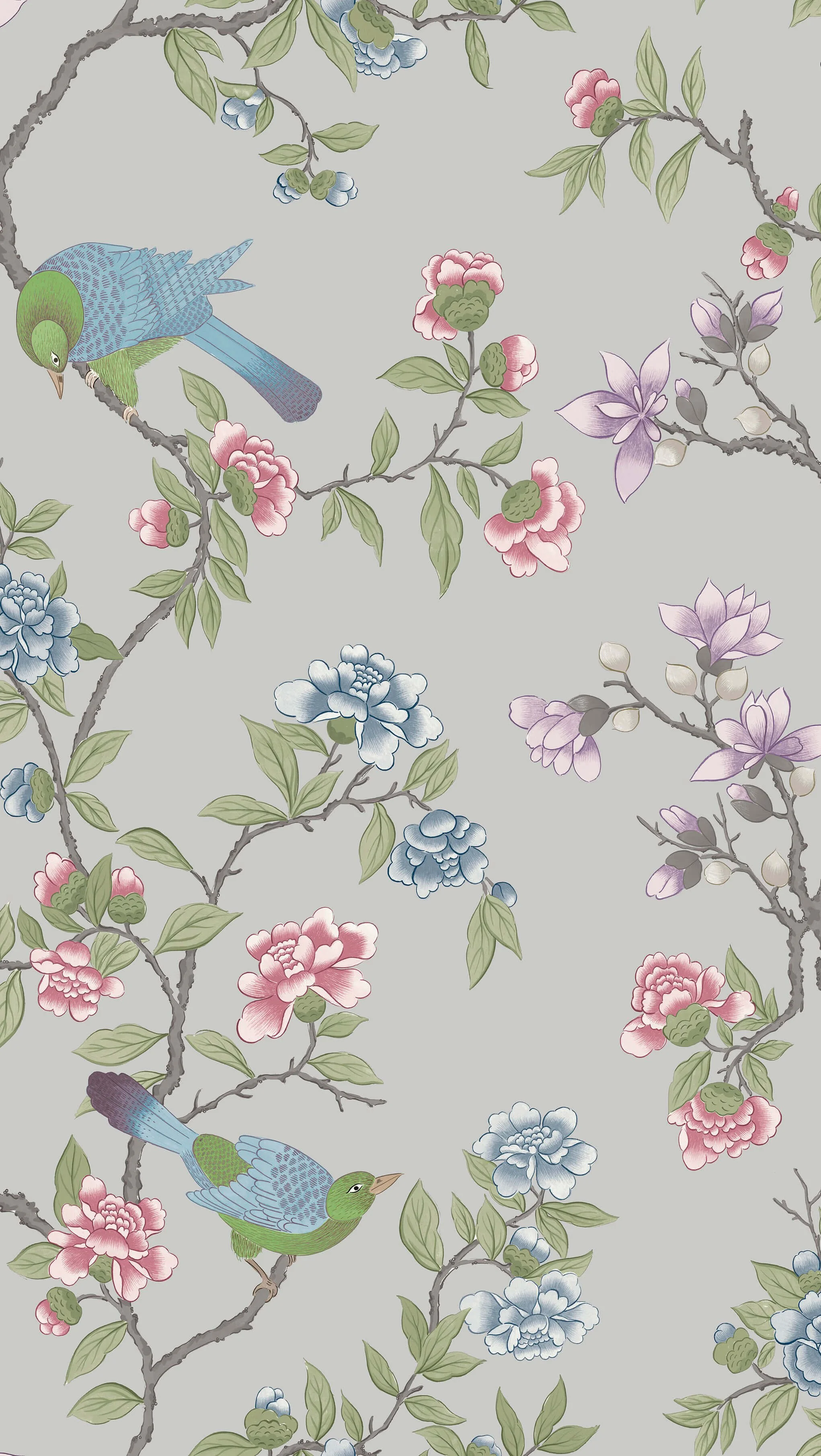Aderyn - French Grey