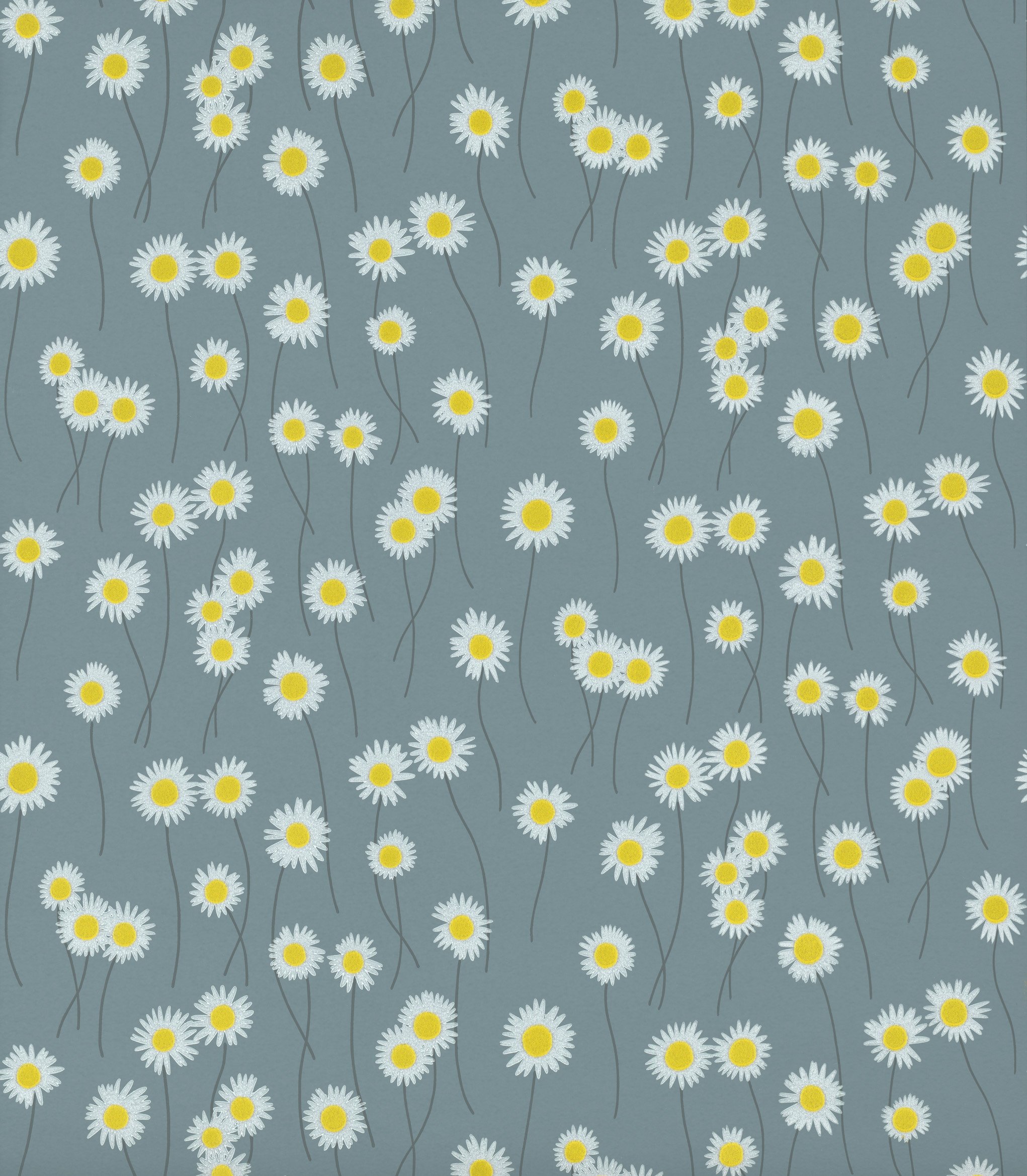Moon Daisies - Etruria