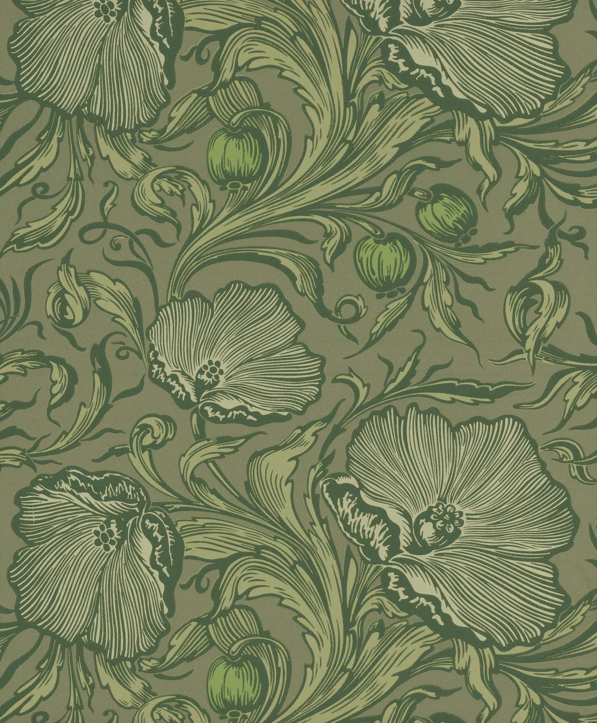 Poppy Trail - Sage Green