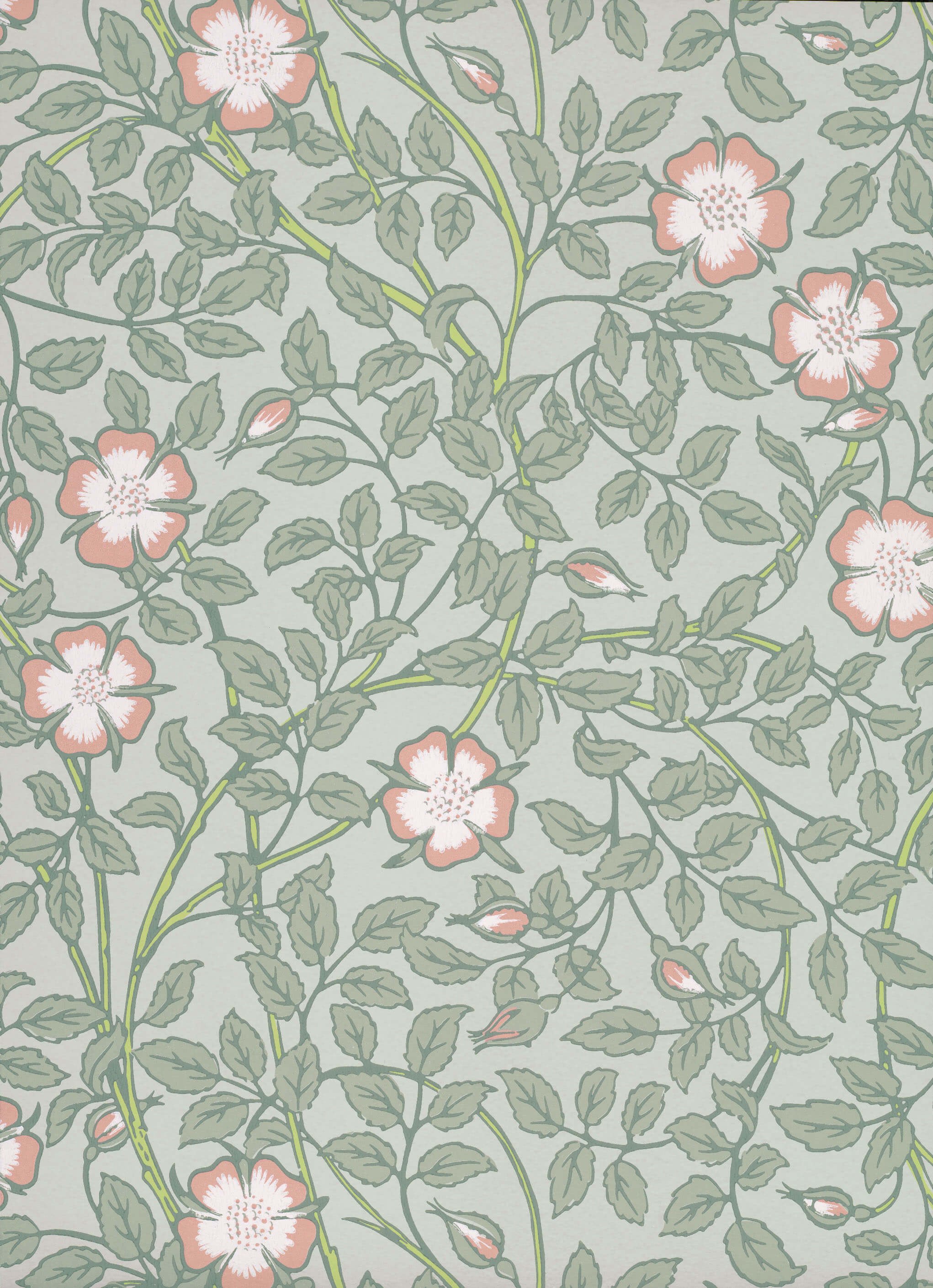 LG_NTIII_Briar Rose_Salix.jpg