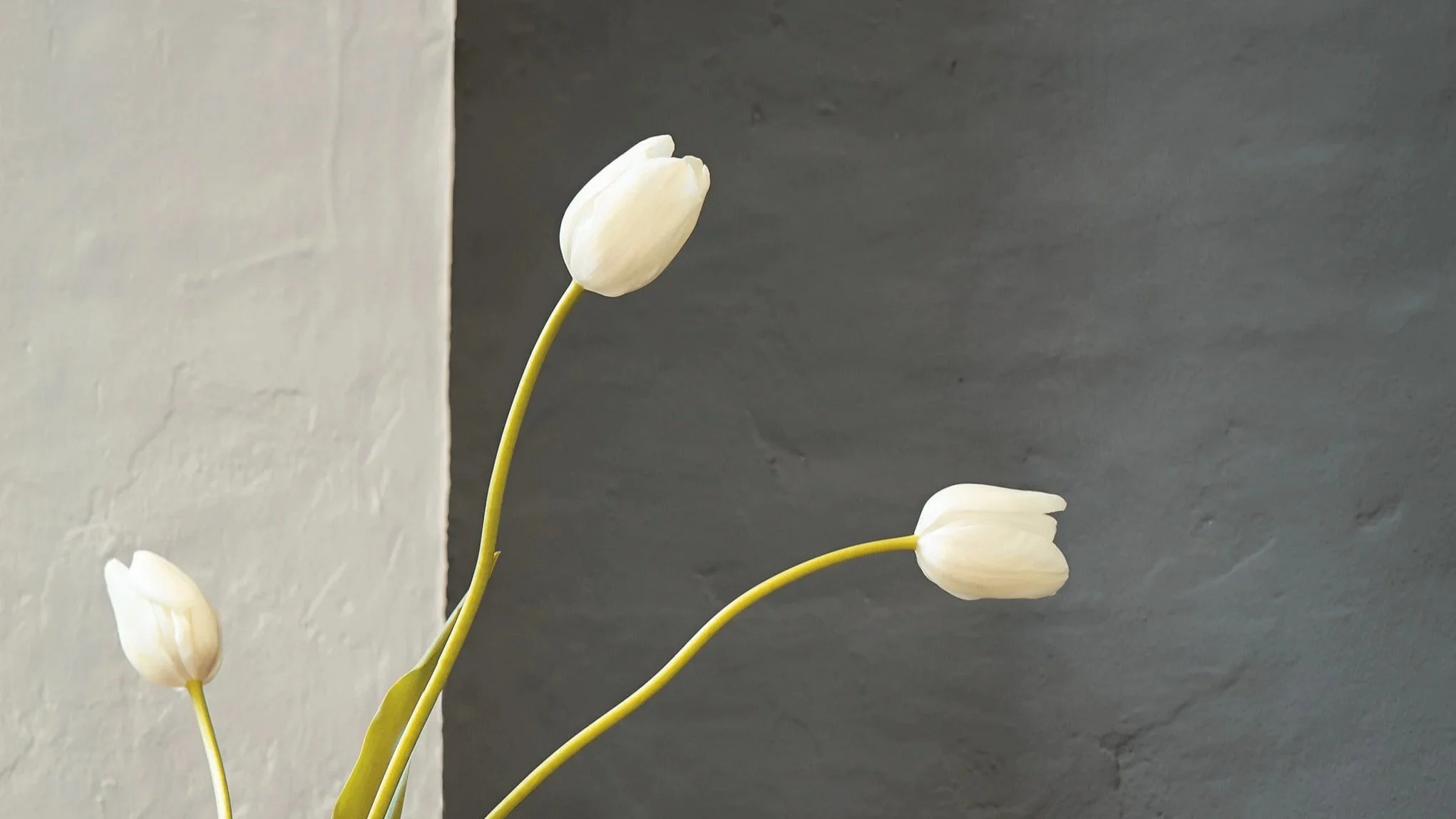Down 242, Dark Lead Colour 118 Detail.jpg
