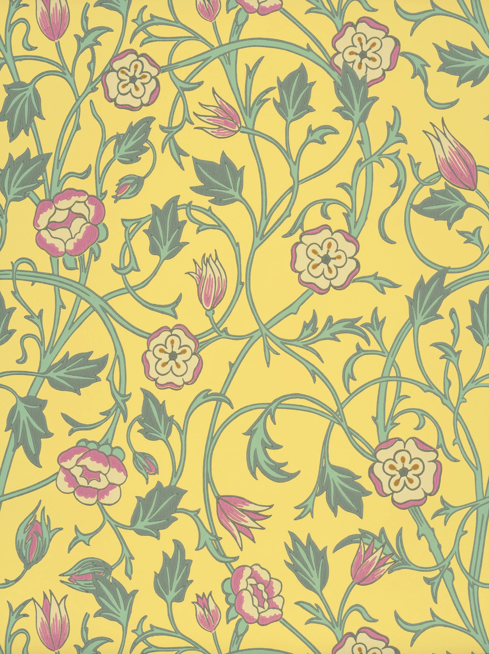 May's Tulip - Indian Yellow