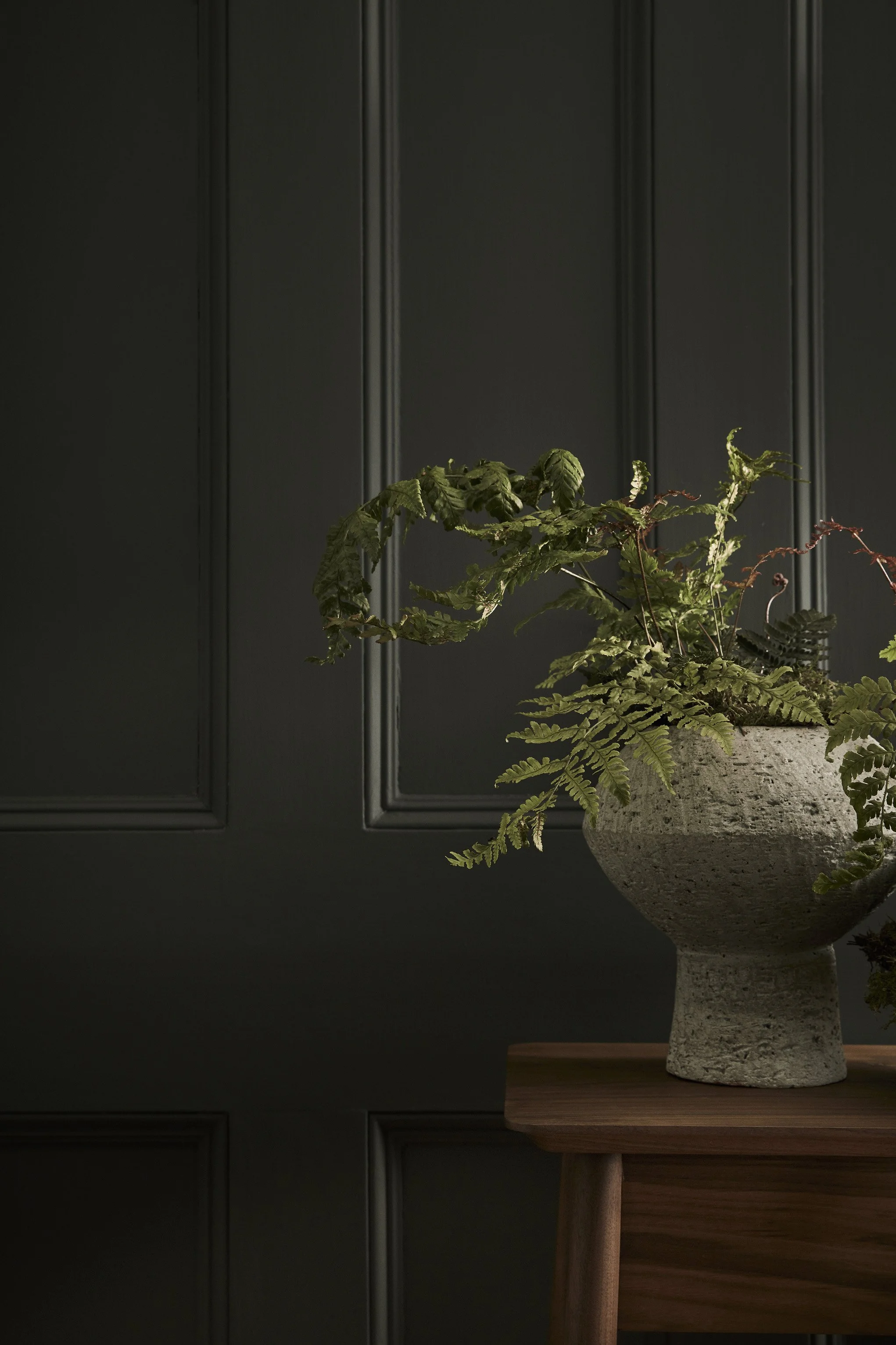 A large stone planter with green ferns and leafy plants on a wooden table against dark paneled walls.