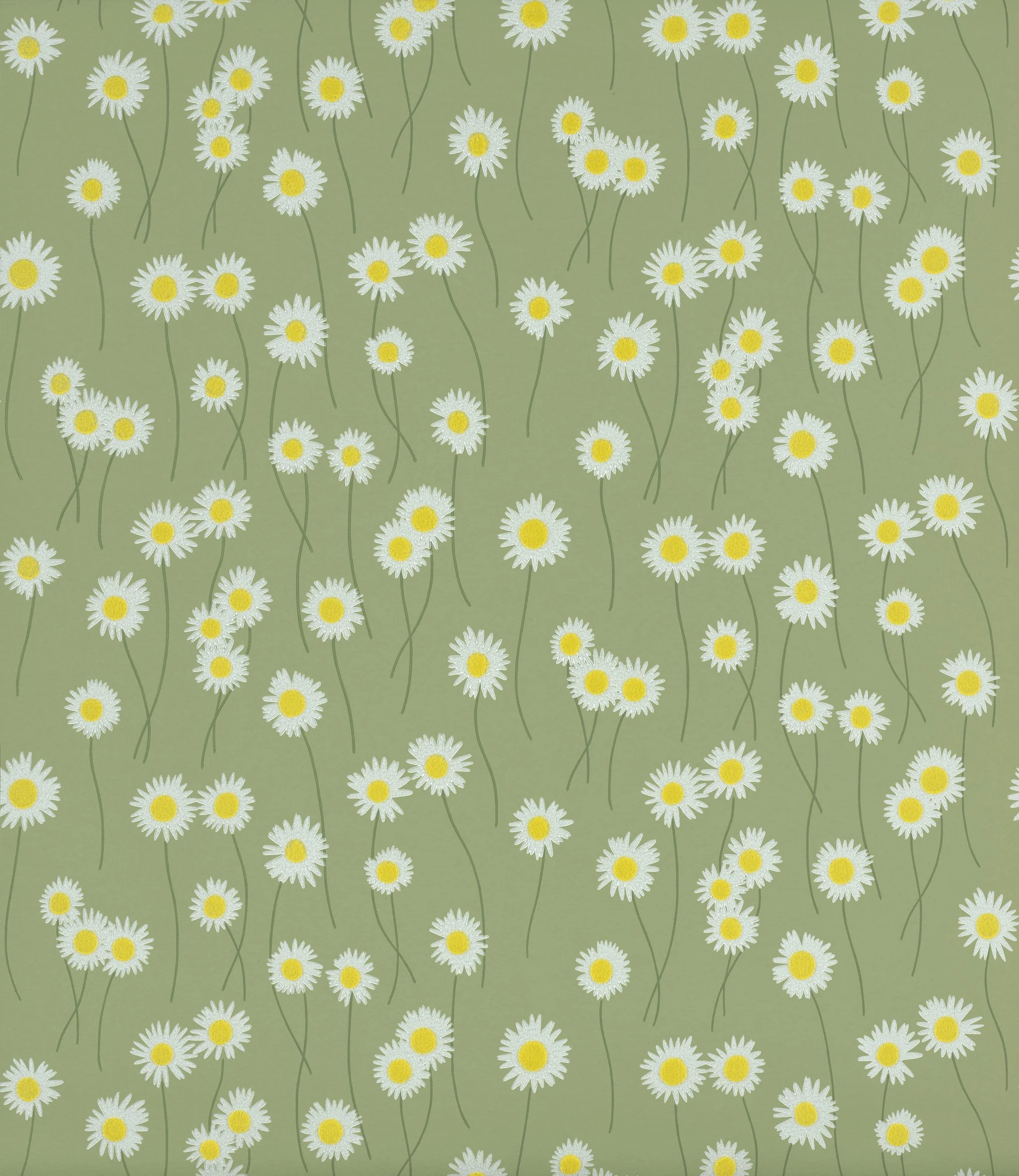 Moon Daisies - Garden