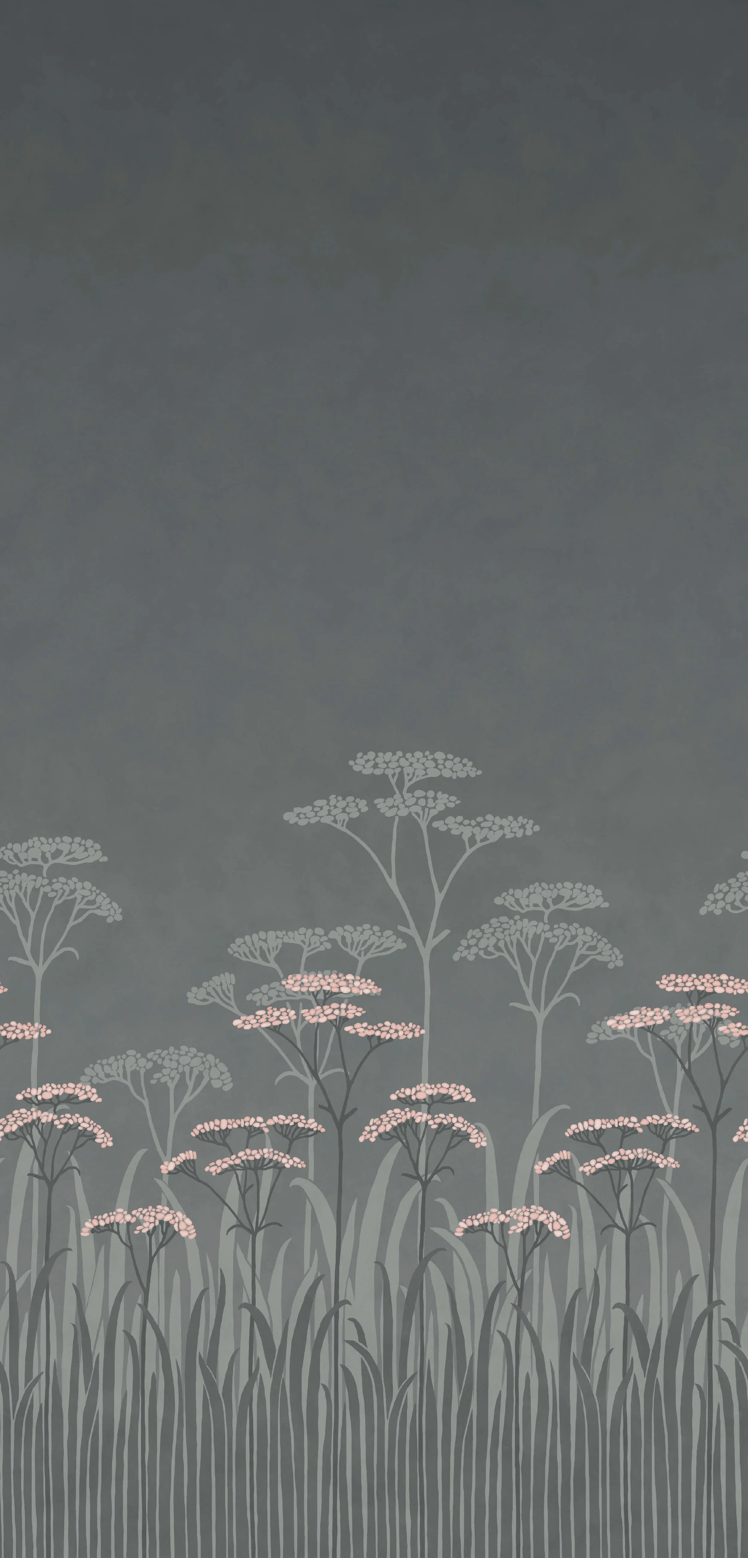 Achillea - Twilight