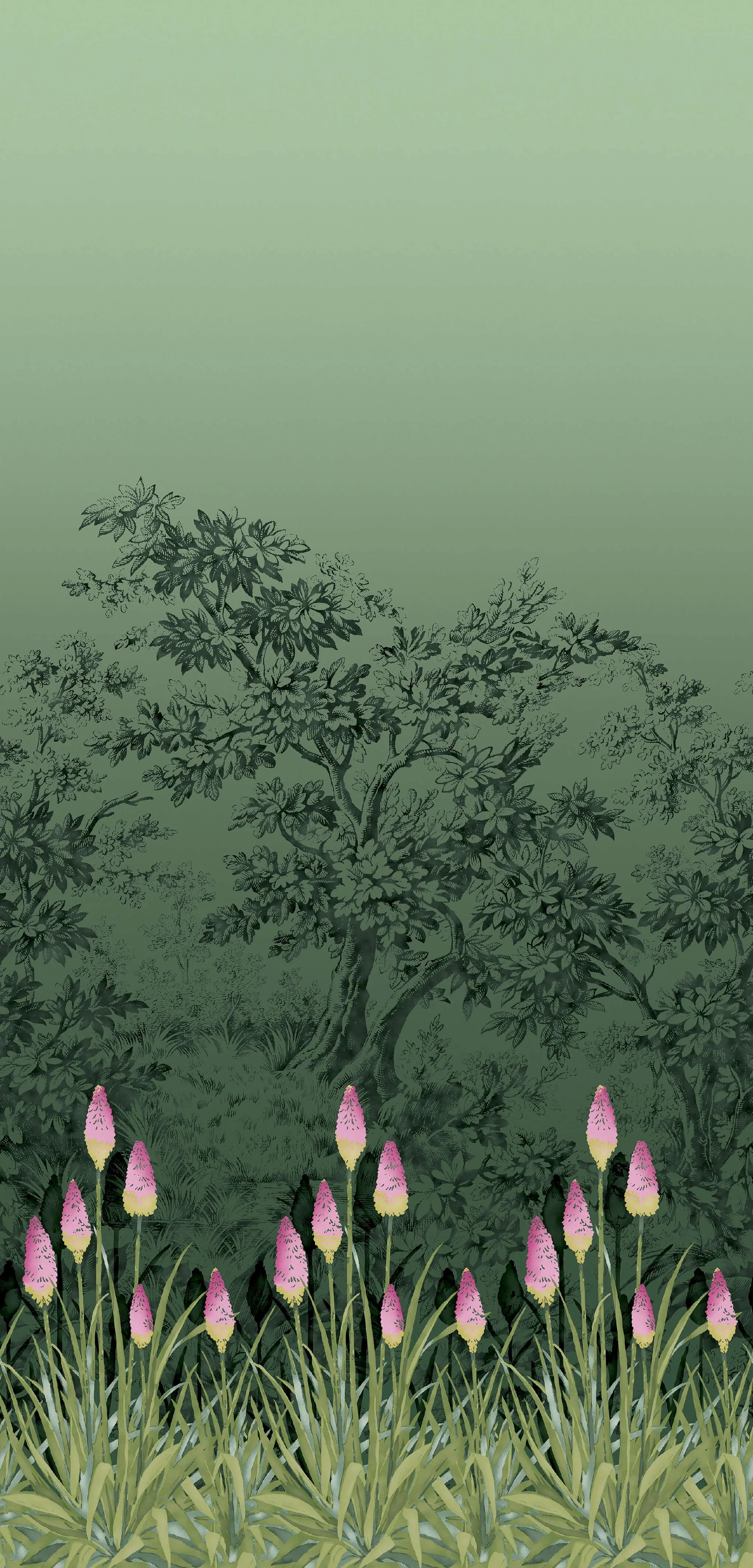 Upper Brook St. - Night Garden