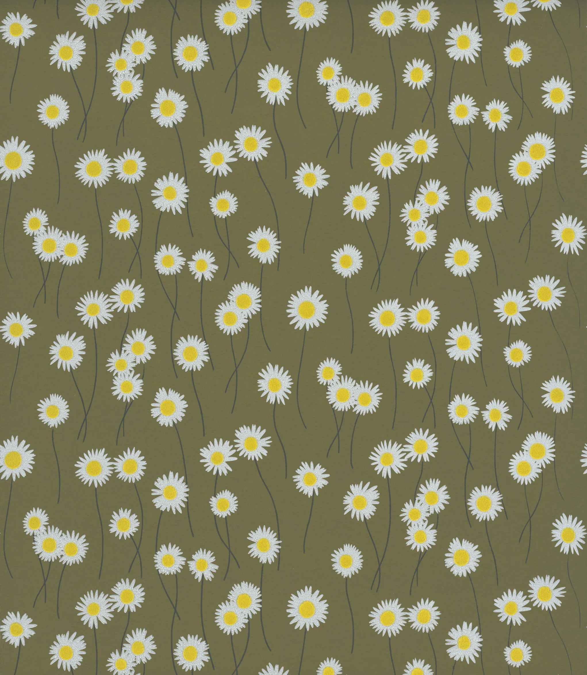 Moon Daisies - Olive Colour