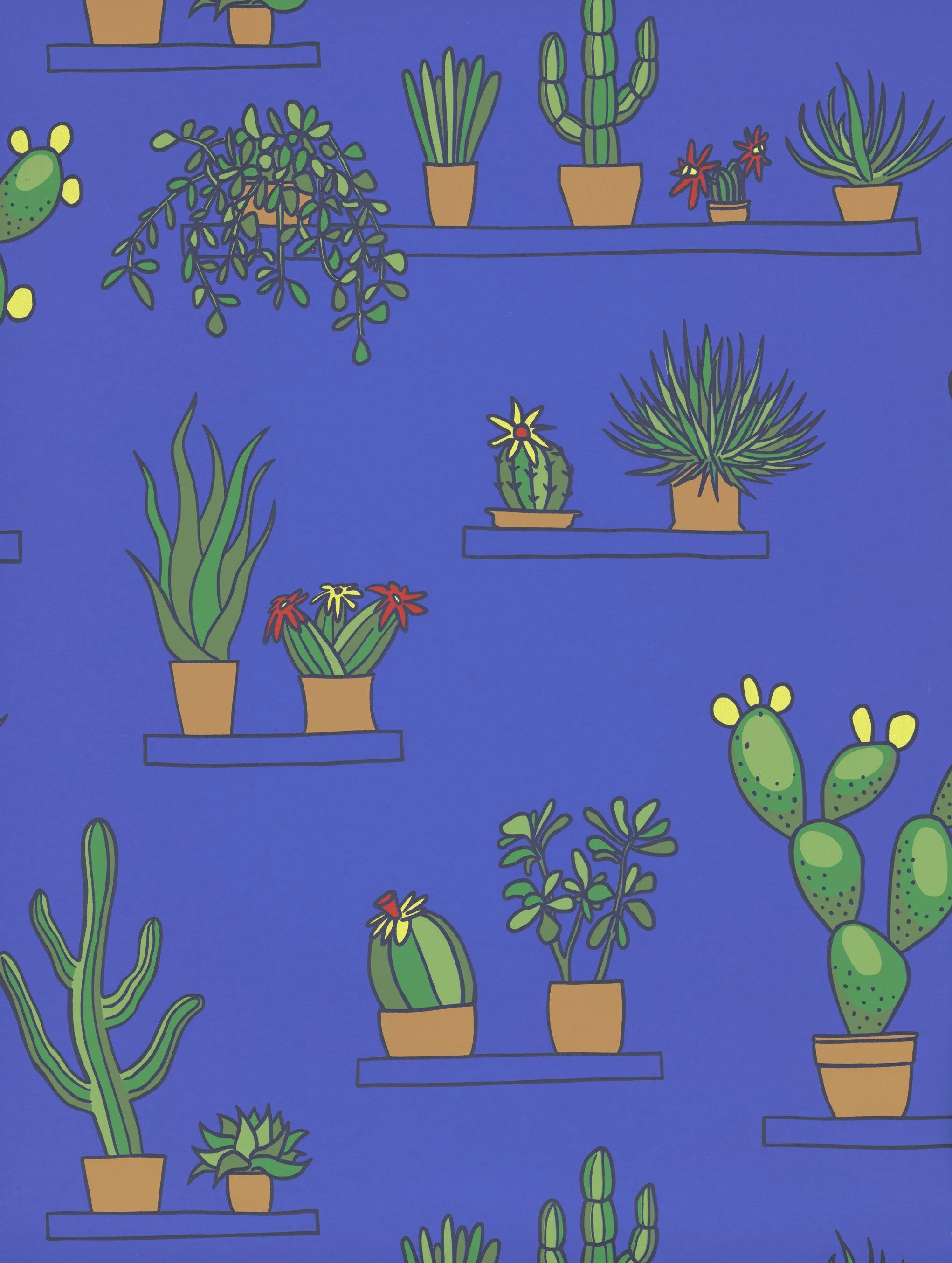 Mr Straw's Greenhouse - Mambo