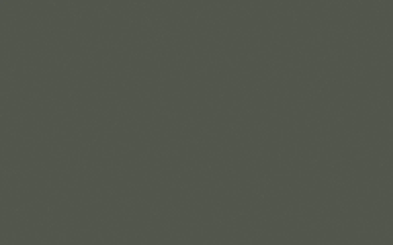 Pompeian Grey™ No. 293