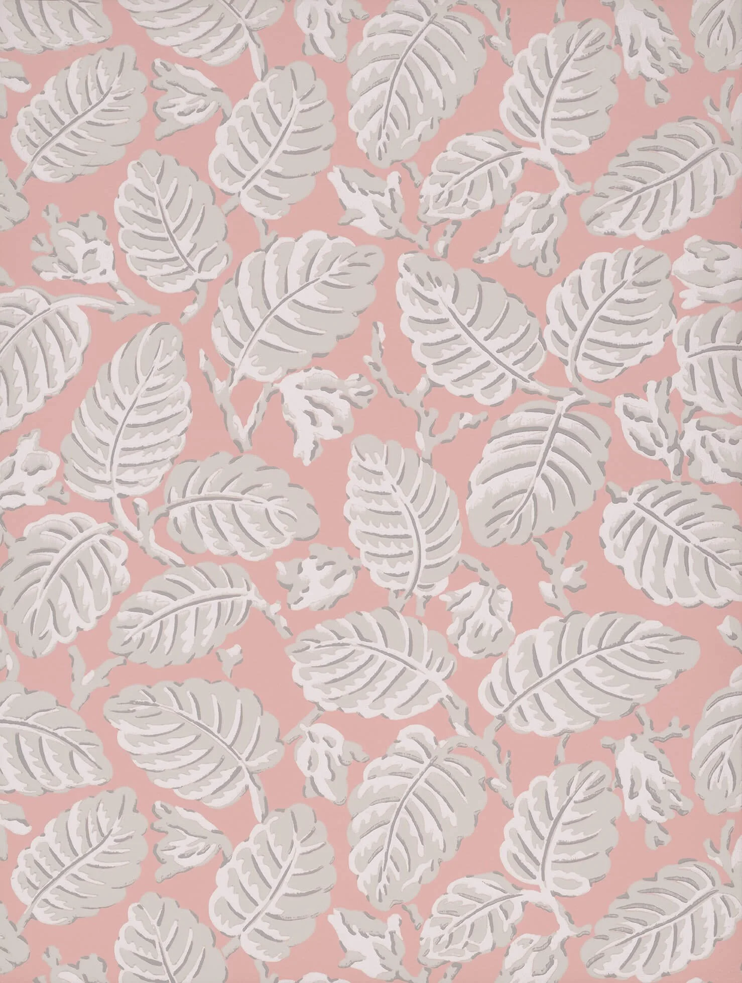 LGNTII_BeechNut_Delicate LR.jpg