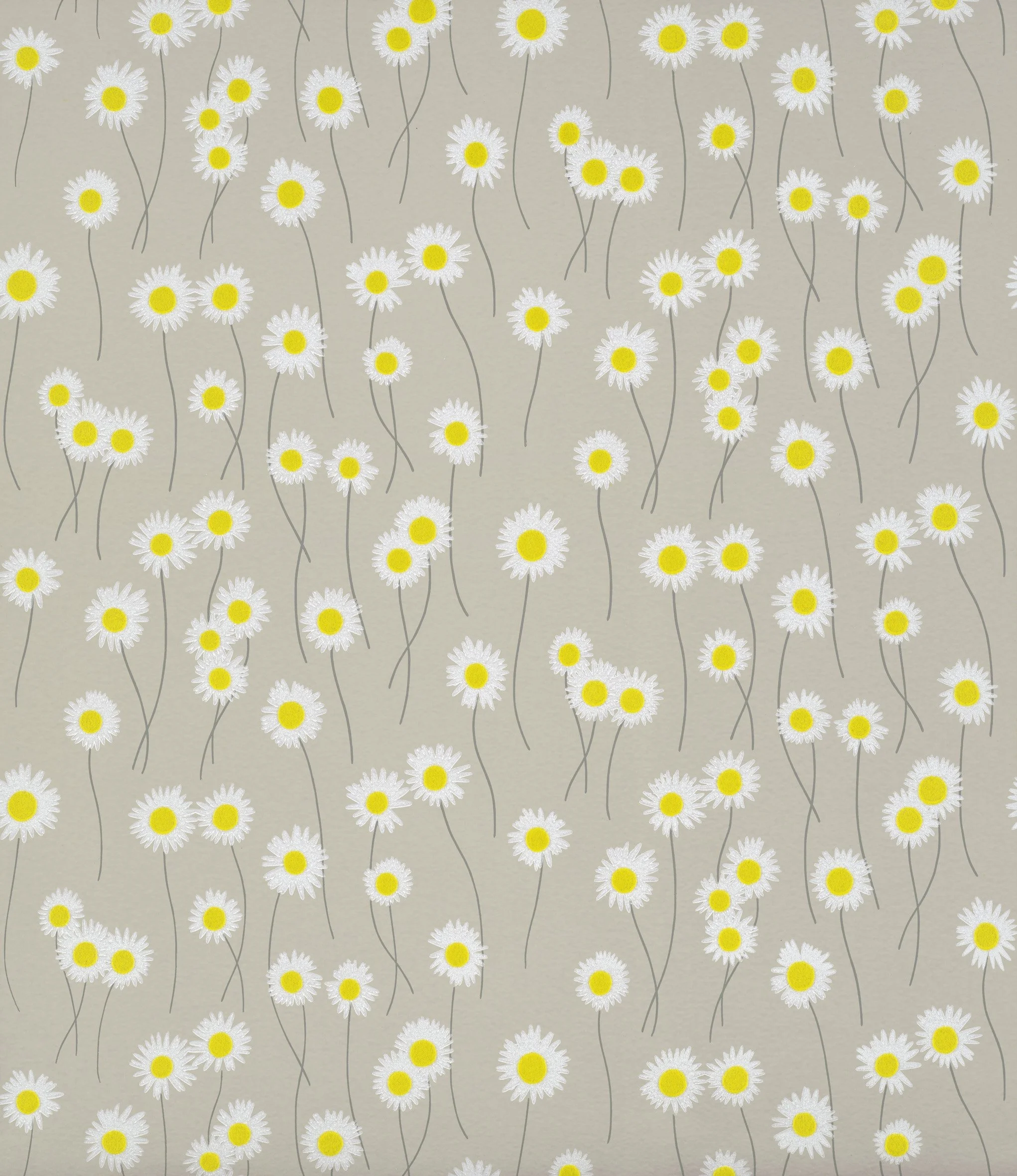 Moon Daisies - Slaked Lime