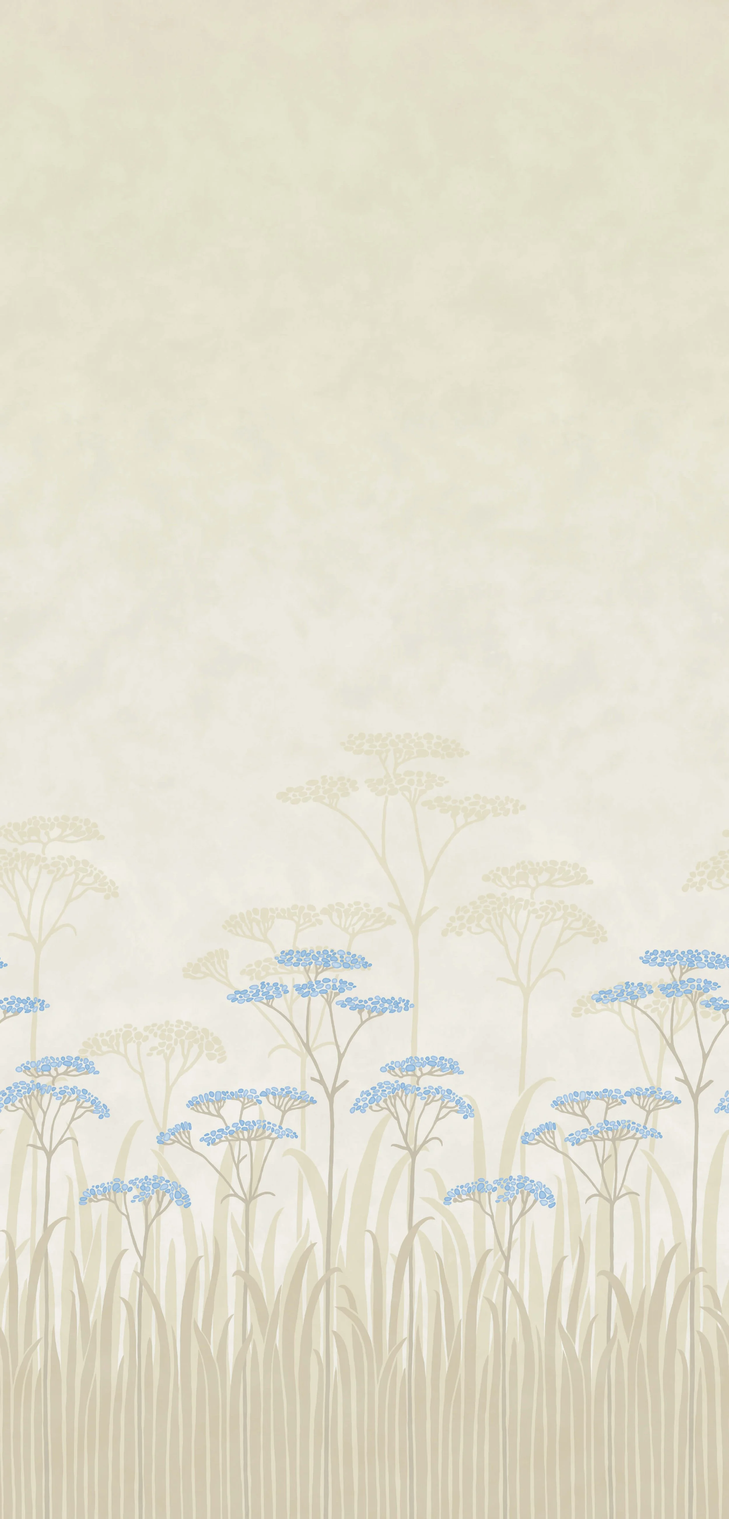 Achillea Dew.jpg