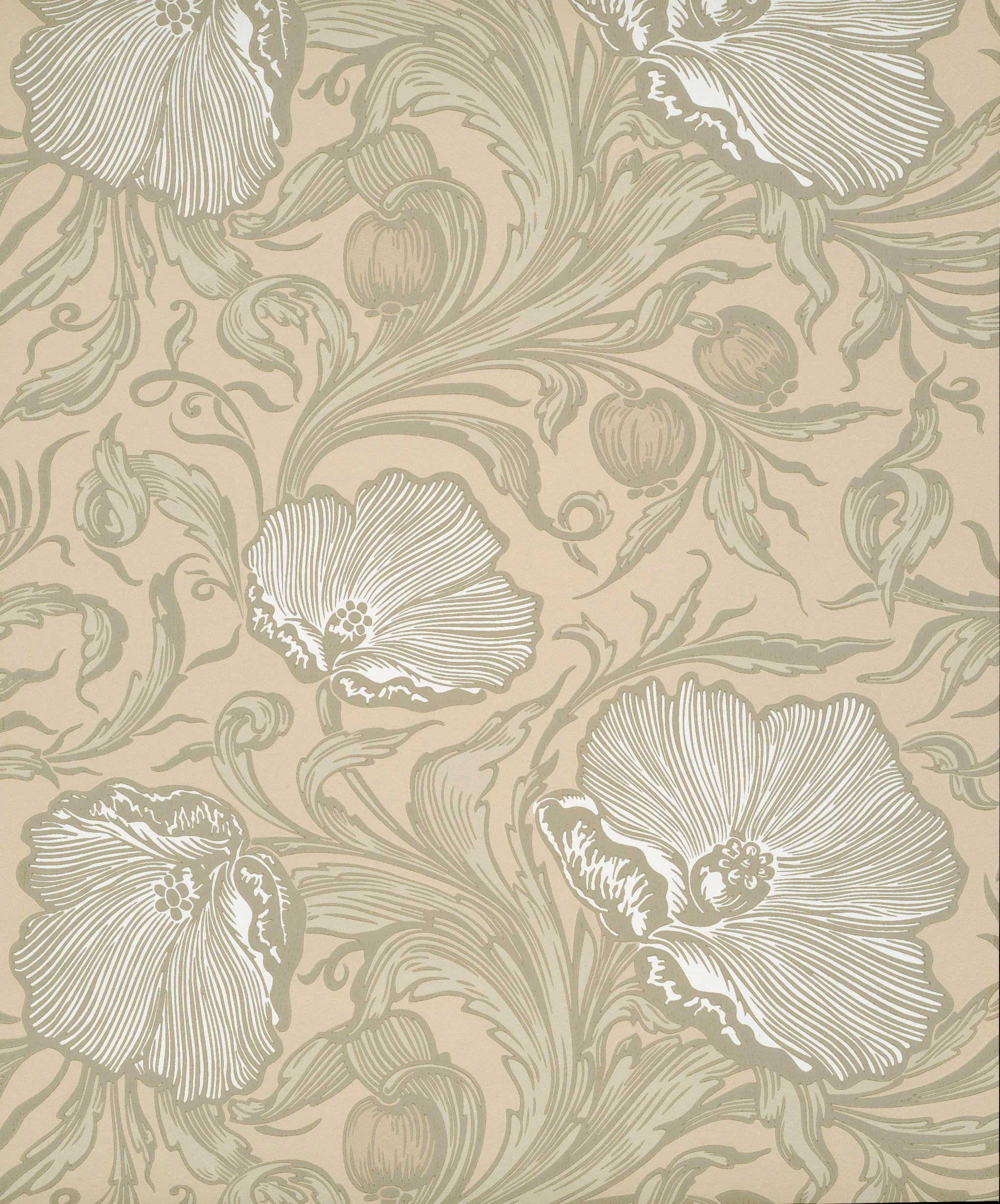 Poppy Trail - Portland Stone