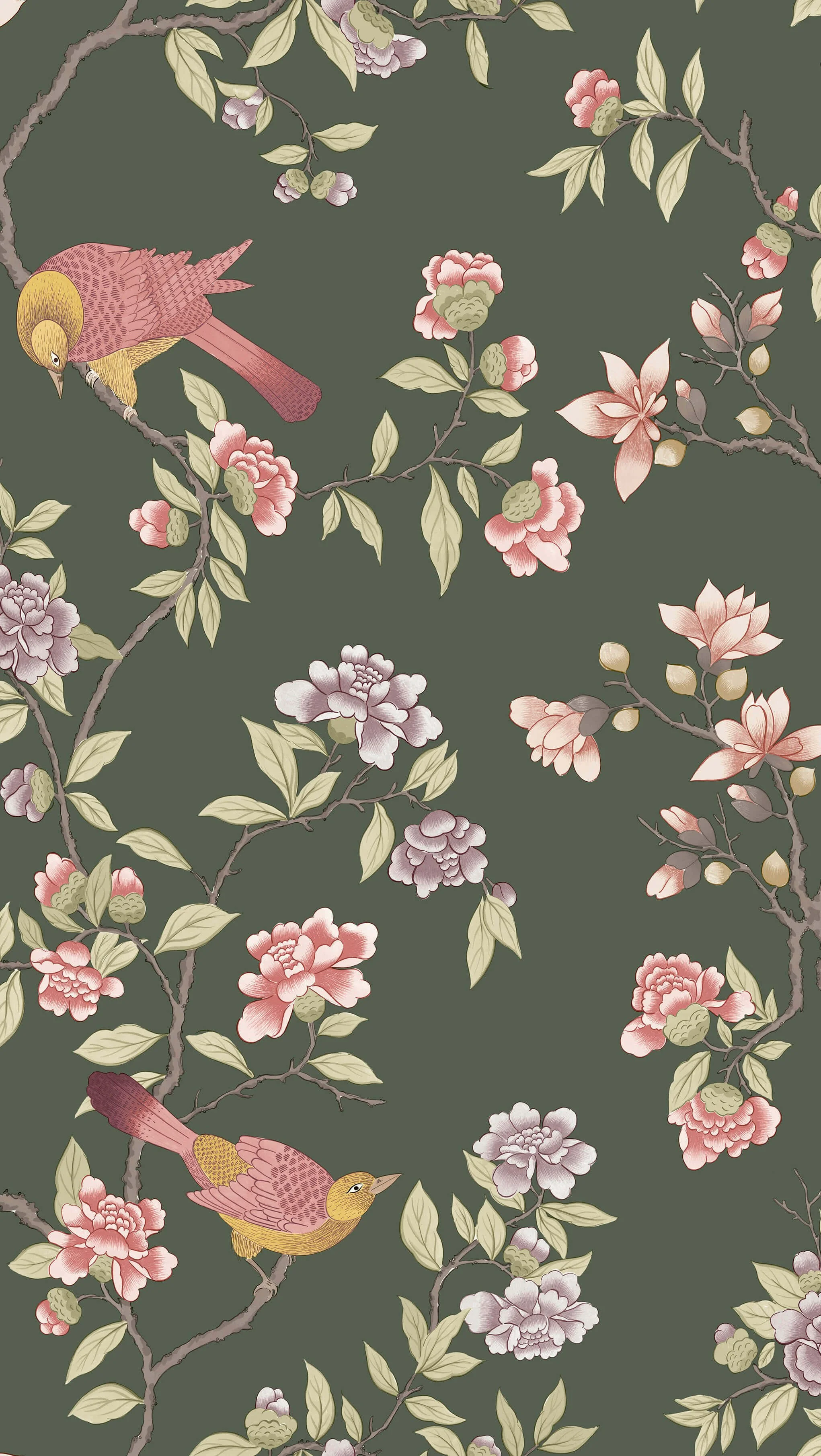 LG_NTIV_Aderyn_Olive Colour.jpg