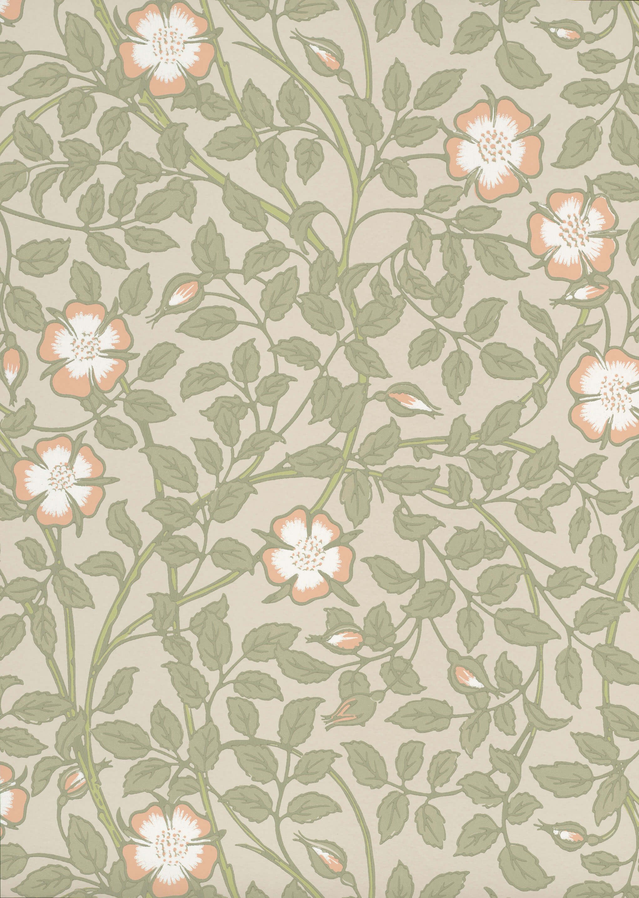 Briar Rose - Green Mist