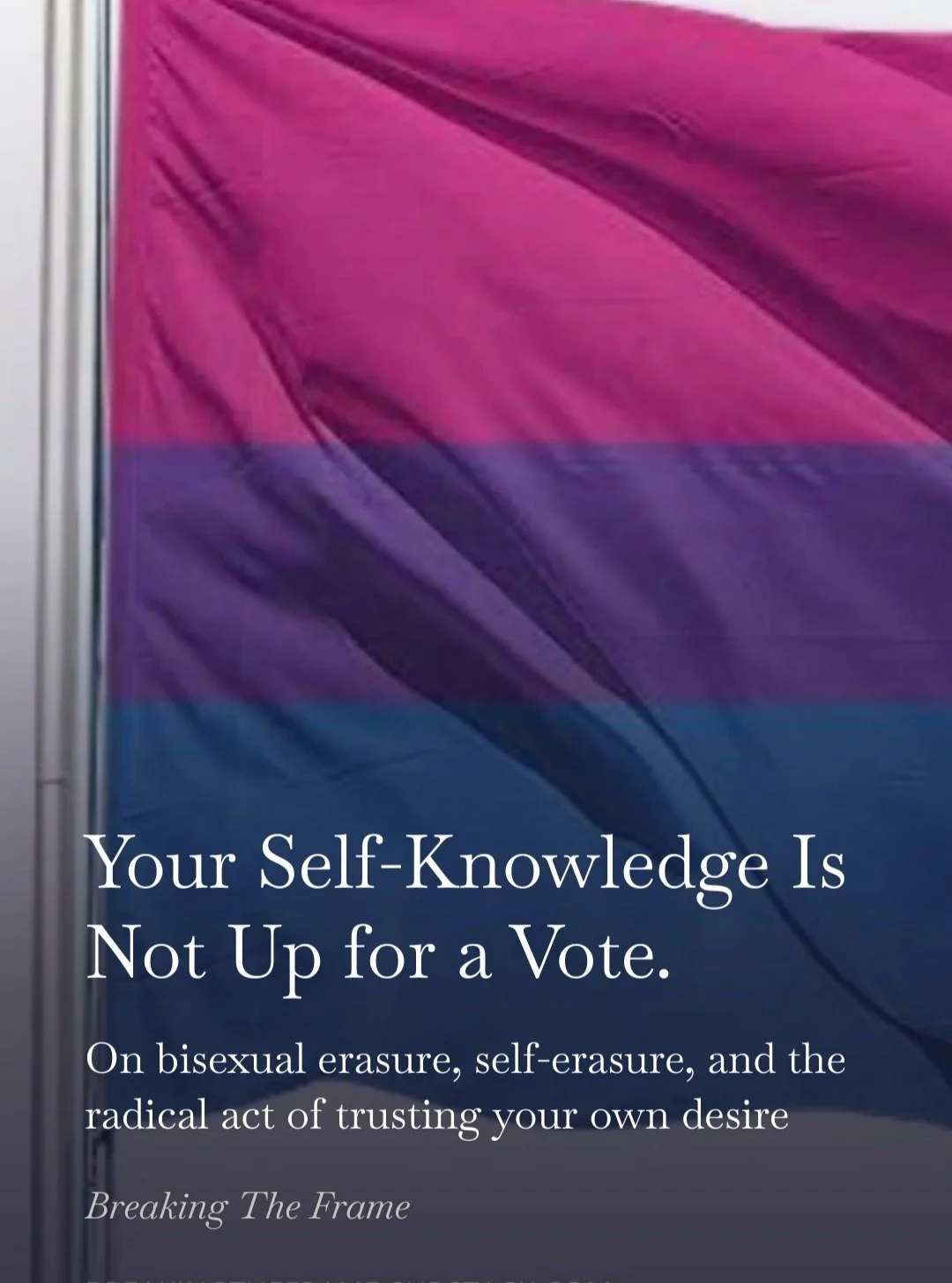 I am a bisexual woman married to a woman.

Which means I spend a surprising amount of time watching people try to decide whether I'm gay, straight, or somehow both depending on whether my partner is standing next to me.

My identity, apparently, comm