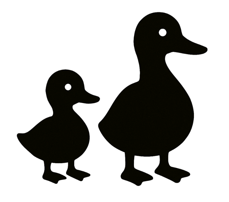 Duck family aged 8 and up