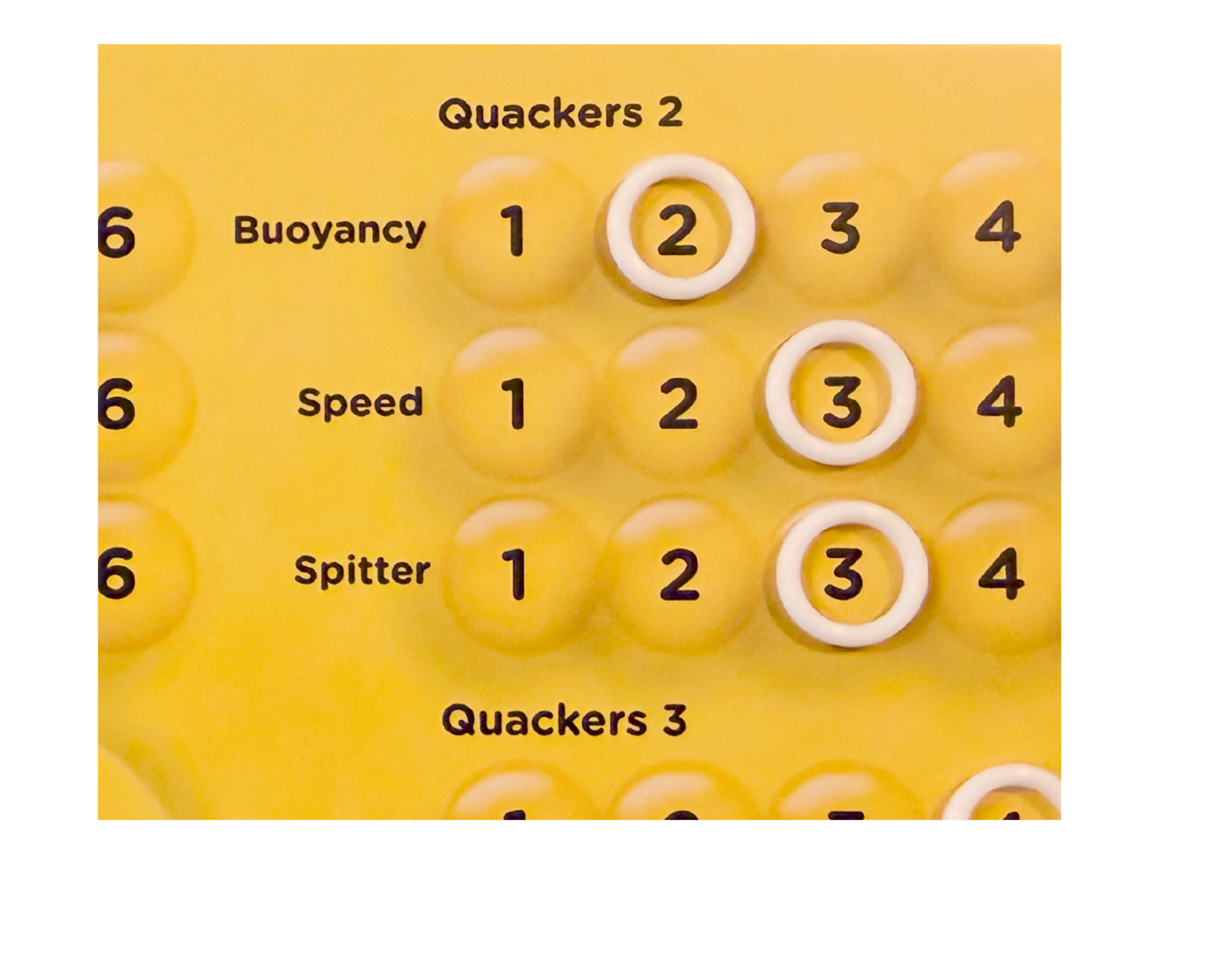 premium ring markers - closeup.png