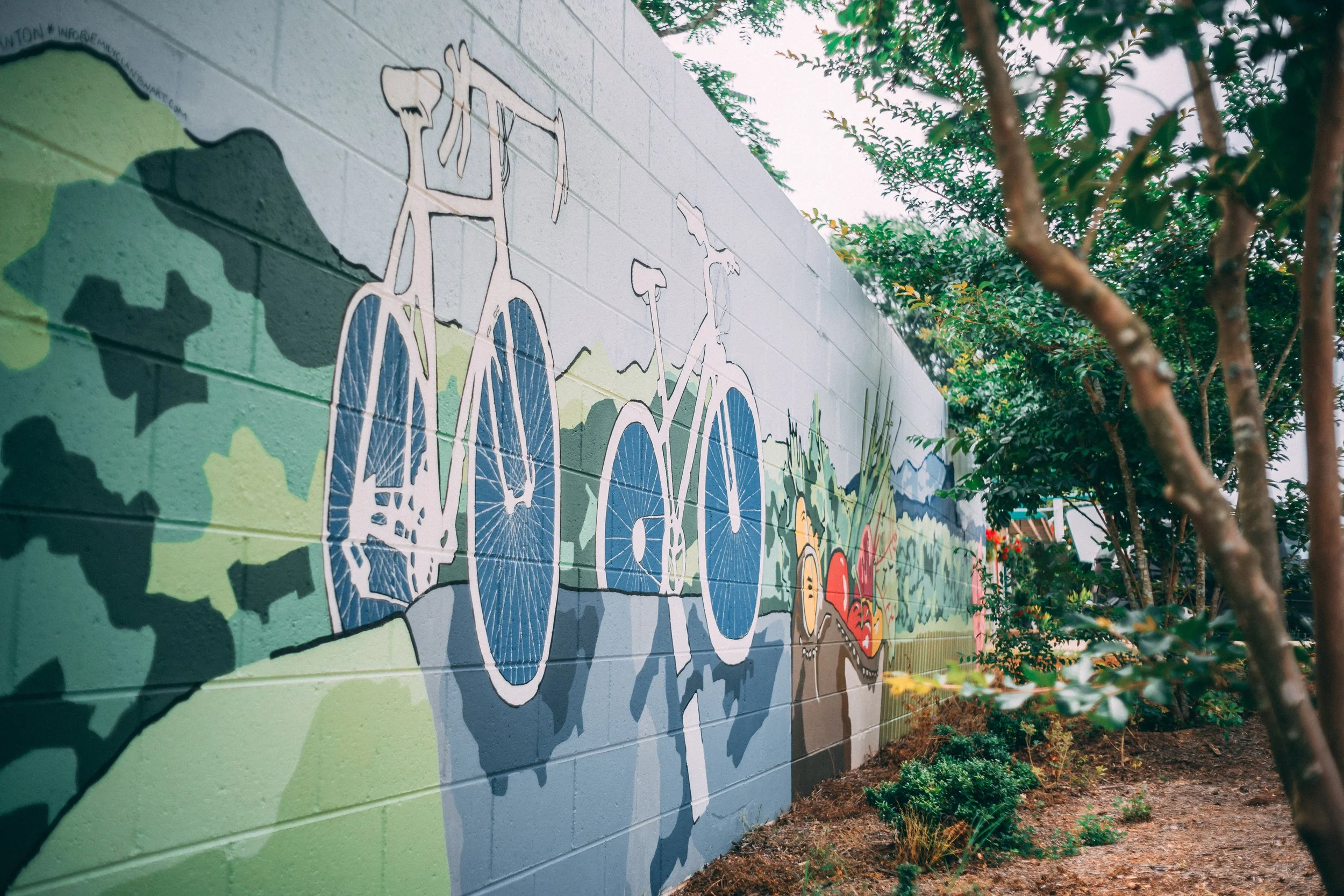 Detail: Bikes on The Swamp Rabbit Trail