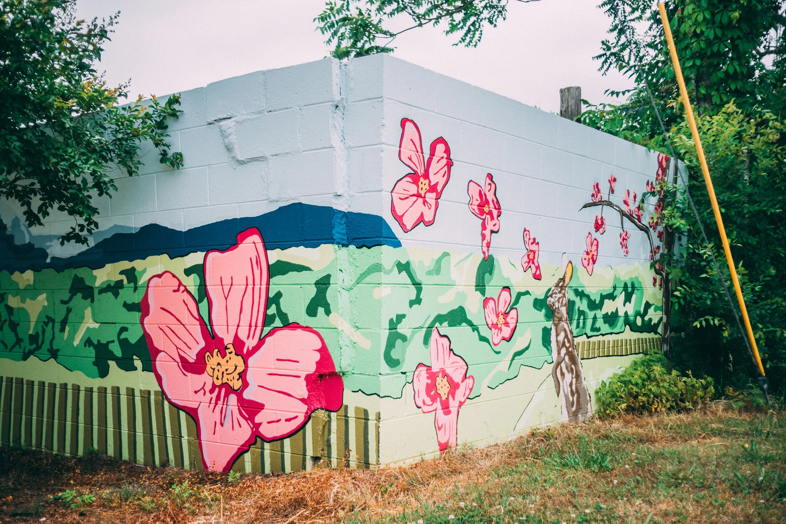 Detail: Swamp rabbit surrounded by dogwood blossoms