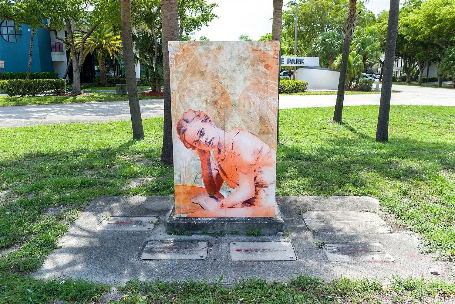Detail: 'Lily in Berea' design on traffic signal box