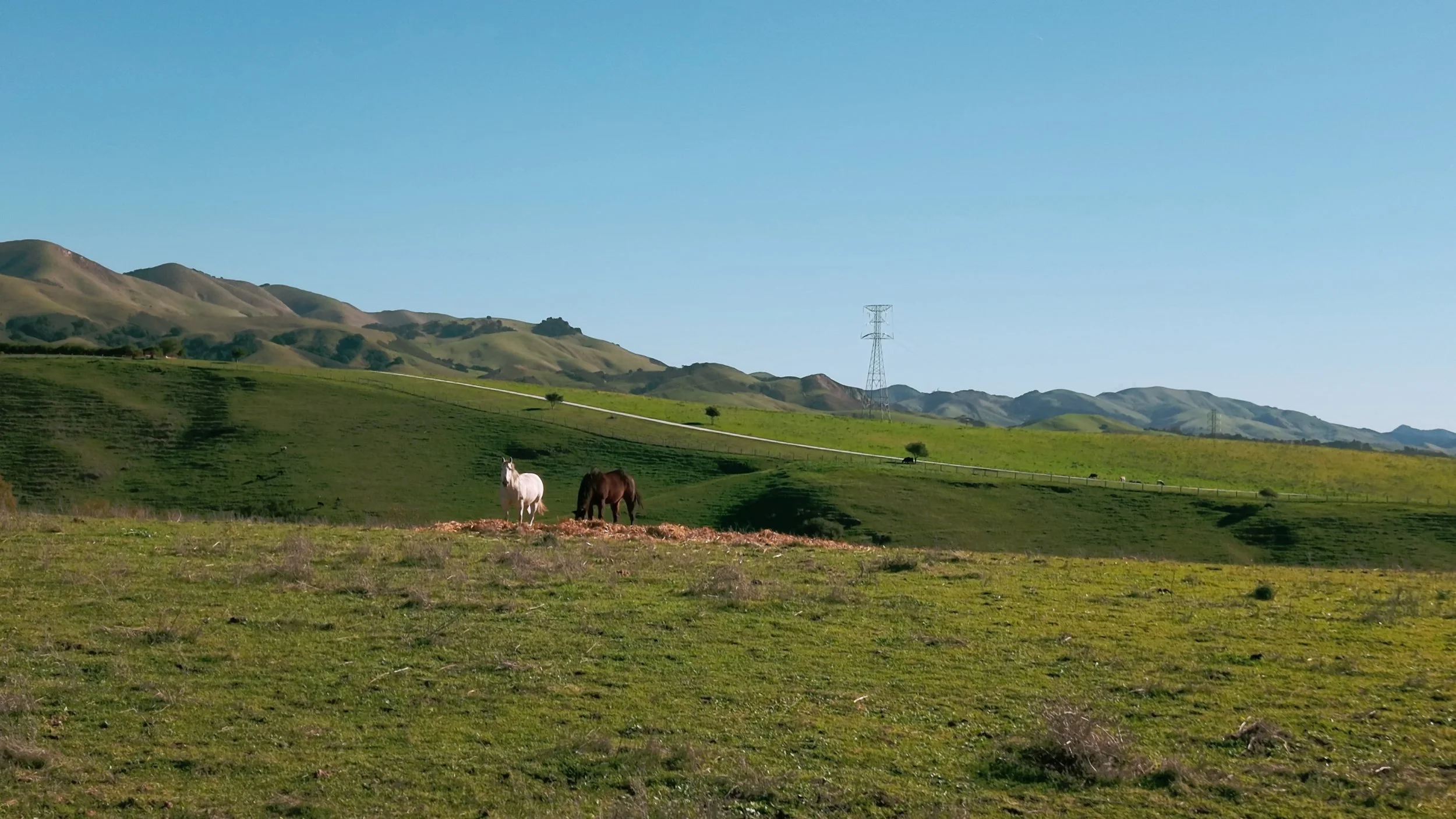 Still from the project