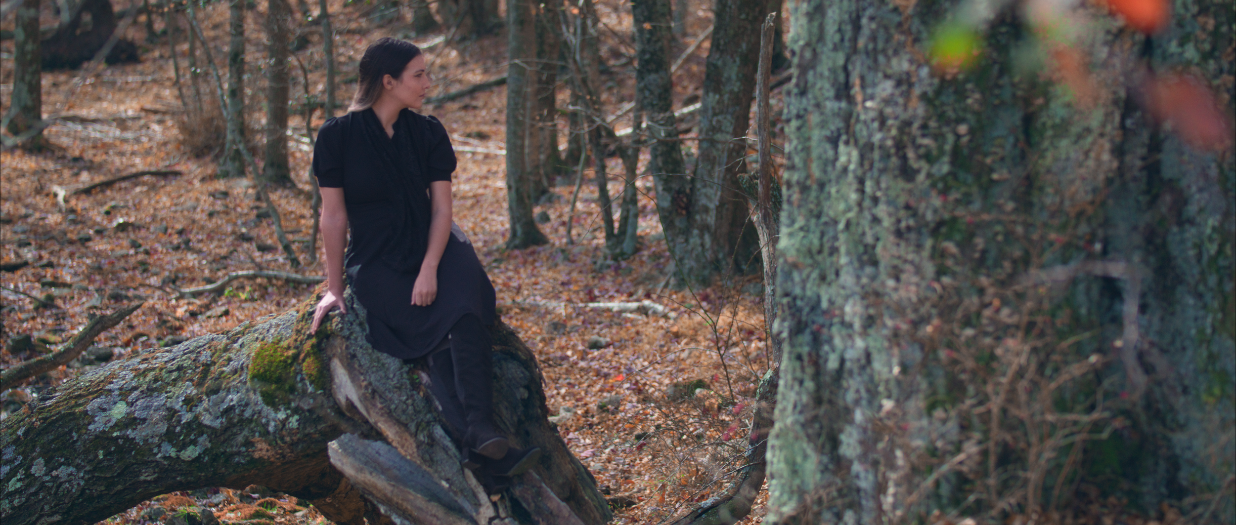 Death Tree Still.png