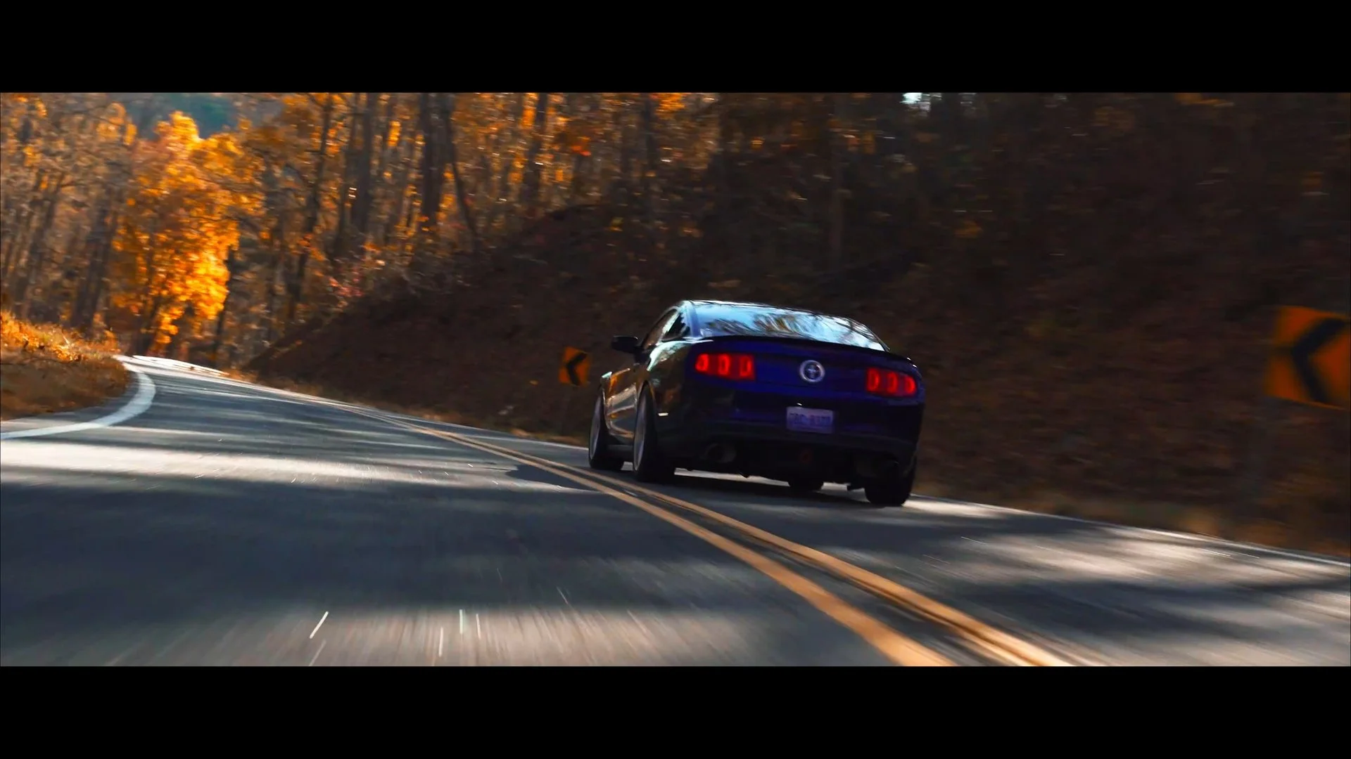 Still 2025-08-25 182634_1.4.1.jpg