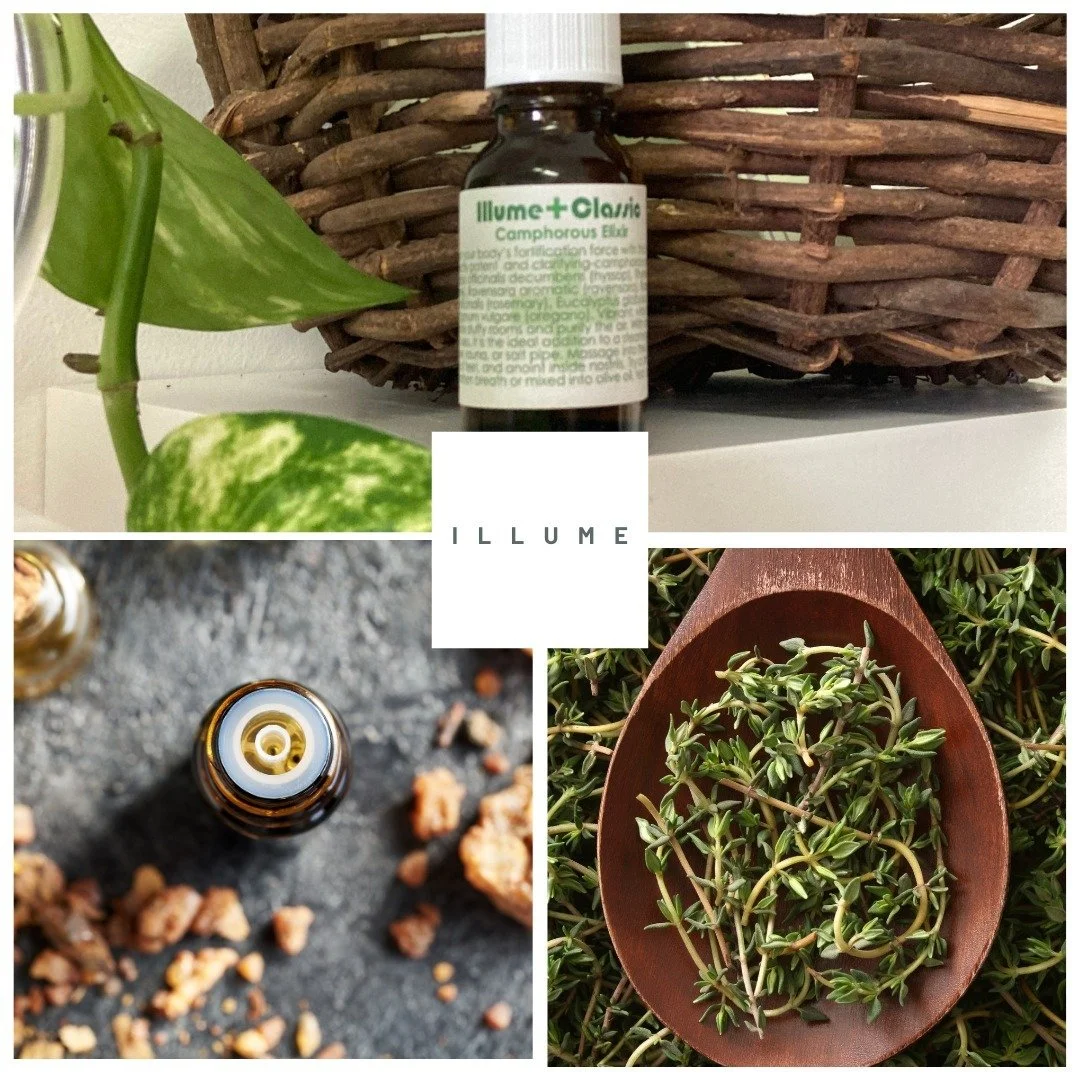 Why we love Illume for home air-care immune support during cold &amp; flu season:

🌱 Hyssop: Known for its cleansing properties, hyssop helps clear congestion, soothe respiratory discomfort, and supports your body&rsquo;s natural defenses.

🌱 Thyme
