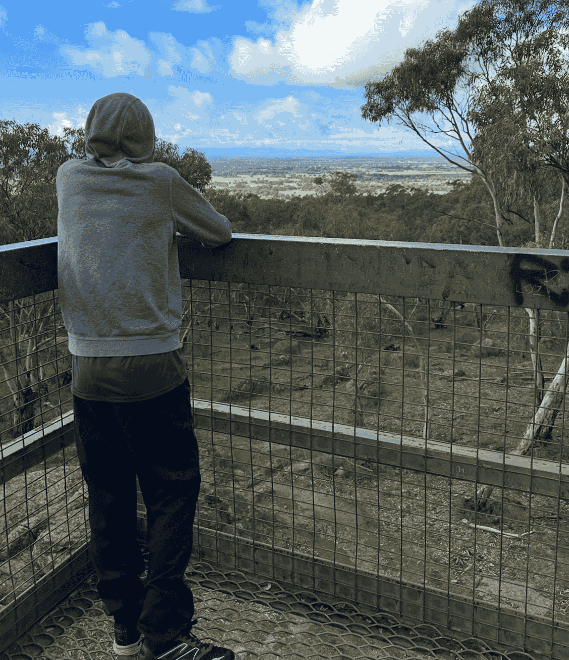 Person in a gray hoodie and black pants leaning on a viewing platform railing, looking out over a landscape with trees and a distant horizon under a cloudy sky.