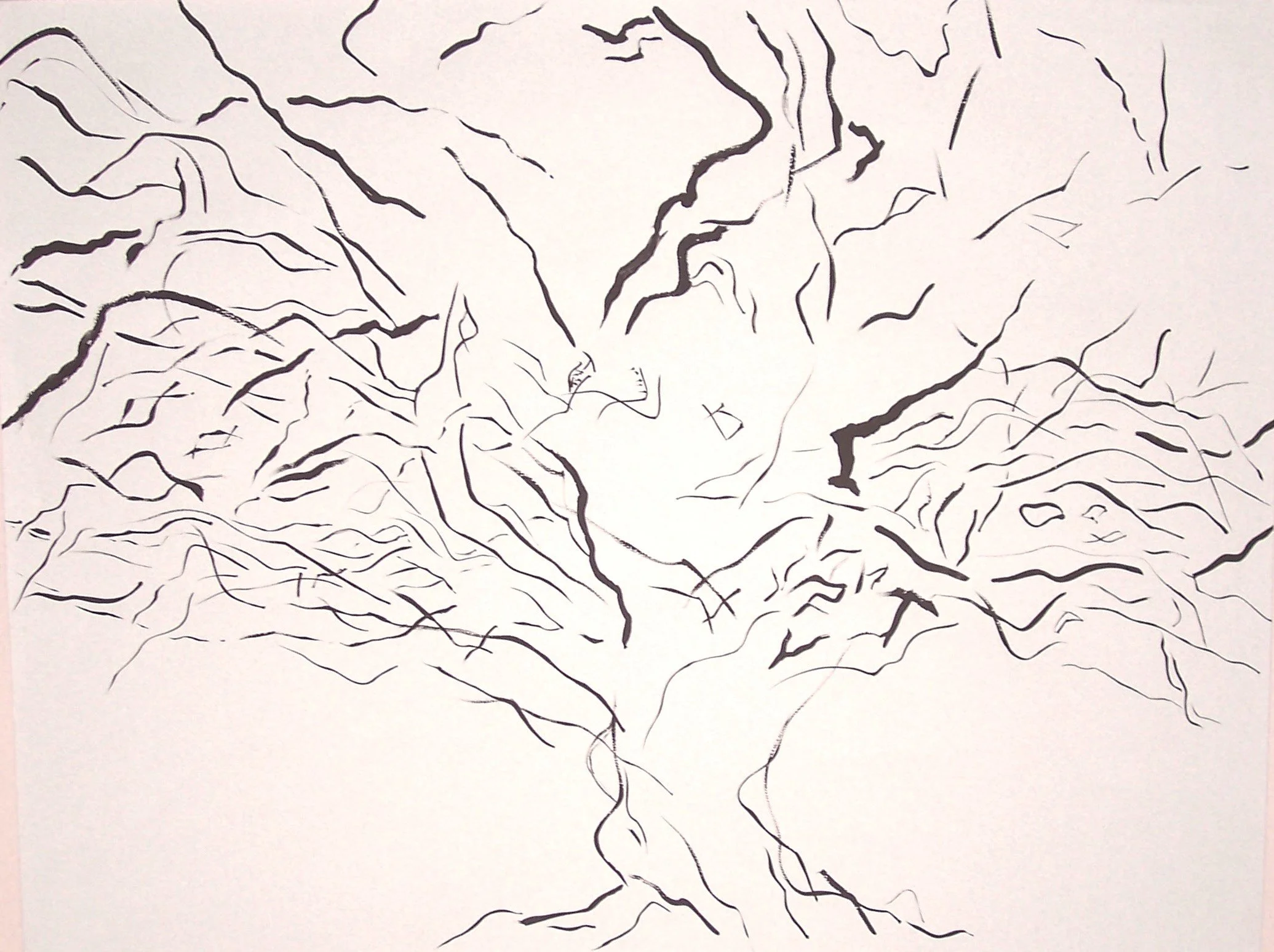 20 inches X 30 inches