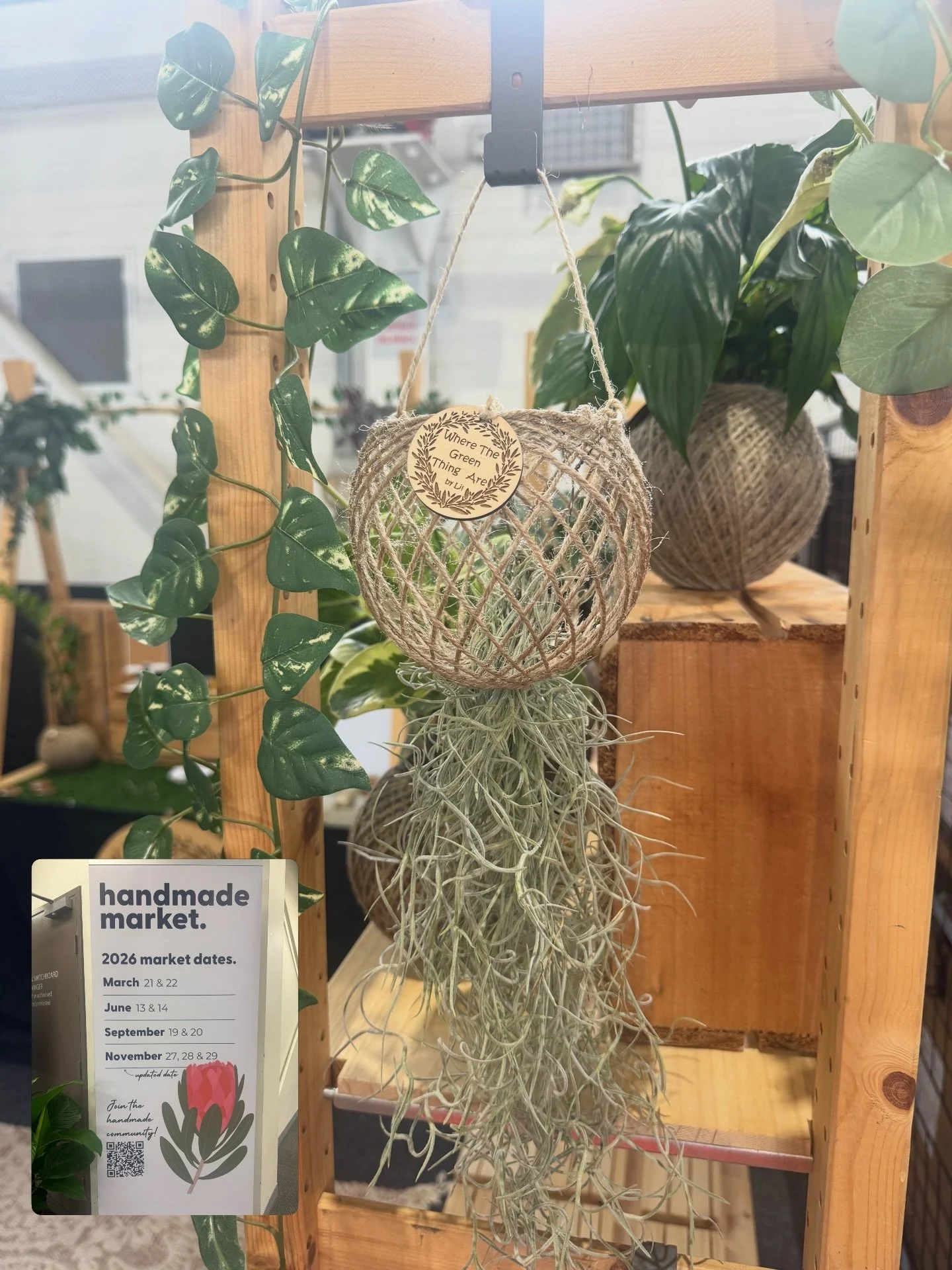 Our air plant kokedamas stole the show at the @handmadecanberra market this weekend! 

We've sold out of the Spanish moss ones and have just one air plant left - check out the last photo. 

Thanks for the love! 

#handmadecanberra #handmadecanberrama