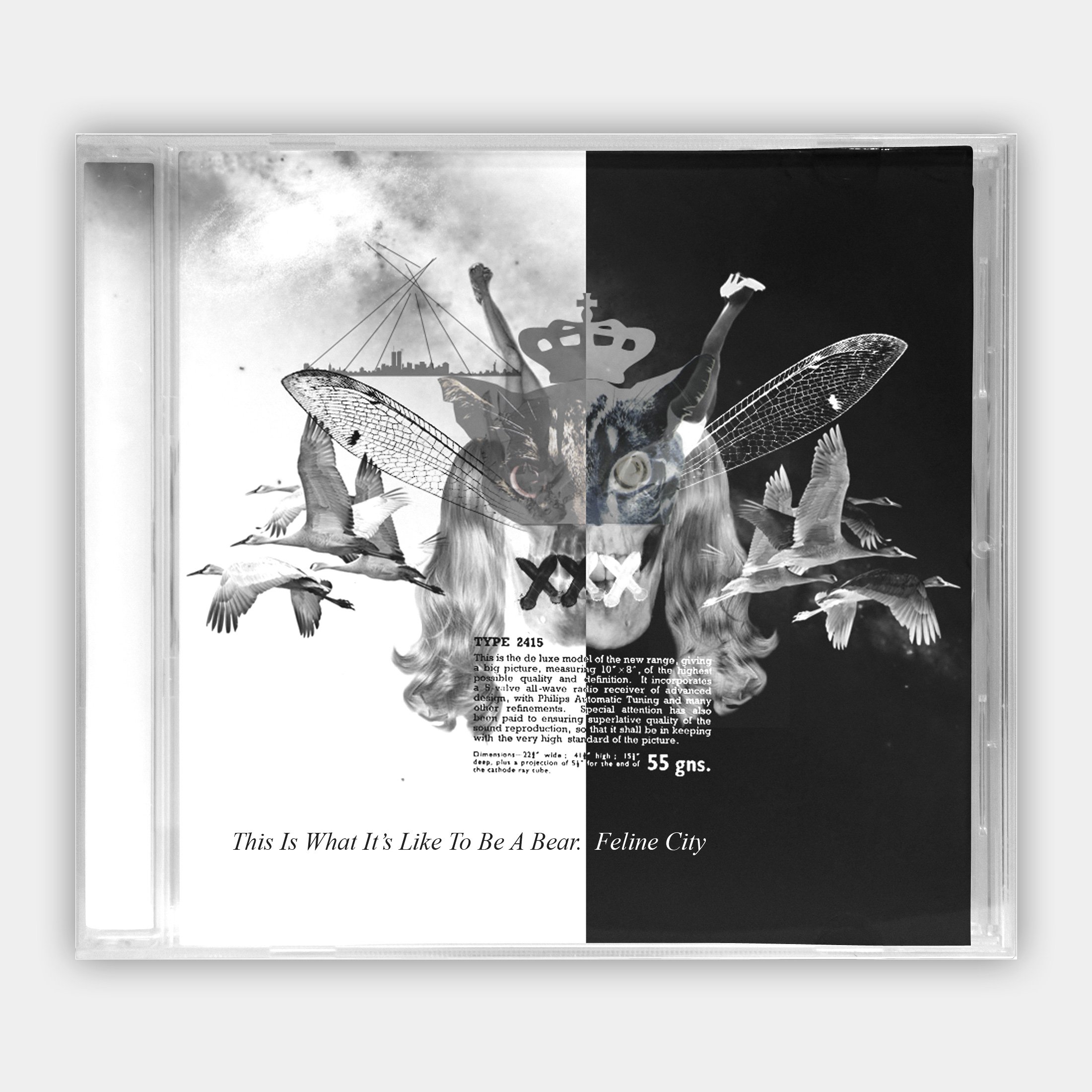 A black and white mixed media collage artwork featuring a woman's face with feline eyes, surrounded by flying birds, dragonfly wings, and overlayed text, with a cityscape silhouette and crown symbol in the background.