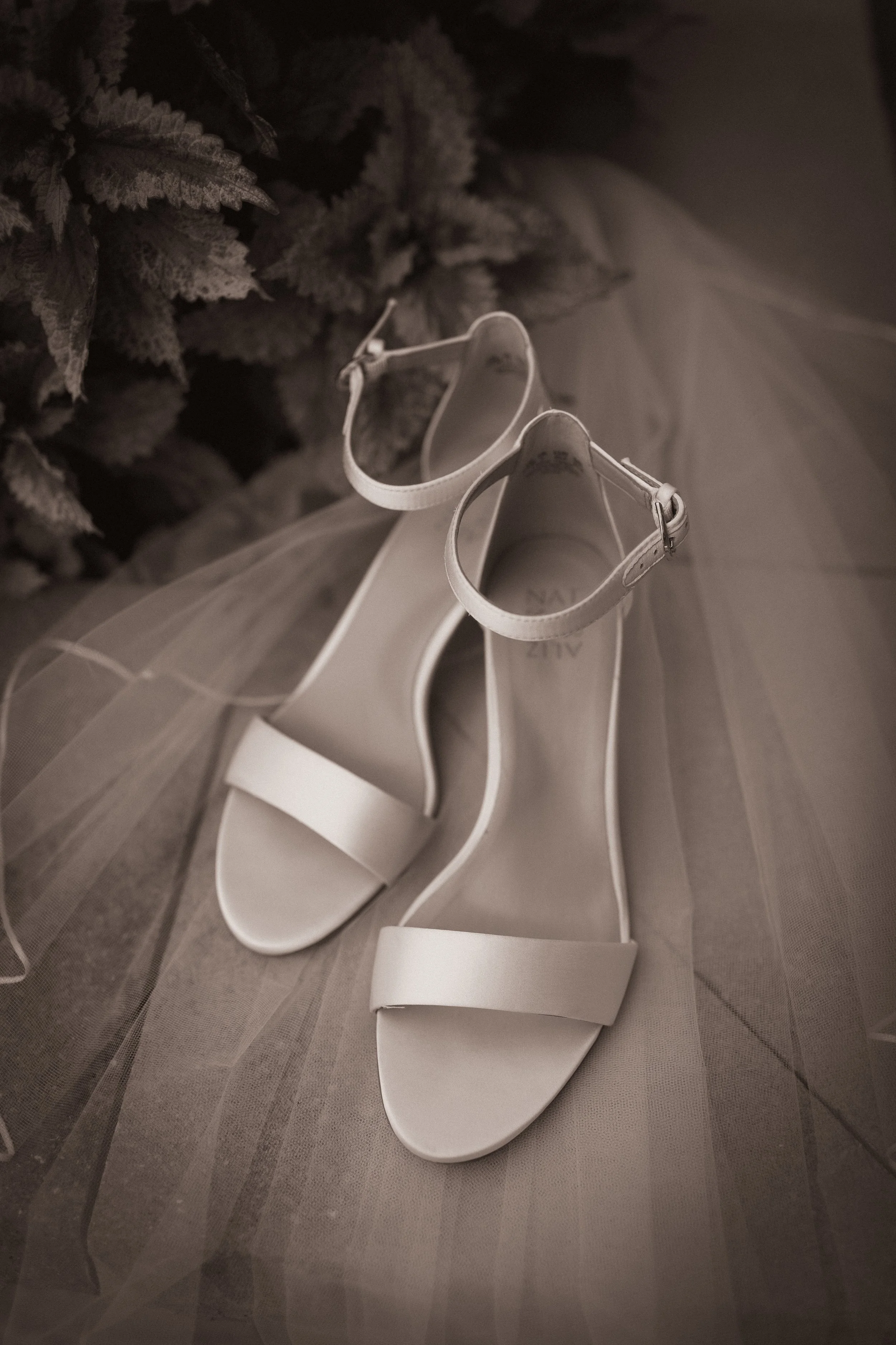 A pair of white high-heeled shoes with ankle straps positioned on a tulle fabric, with ferns or similar plants in the background.