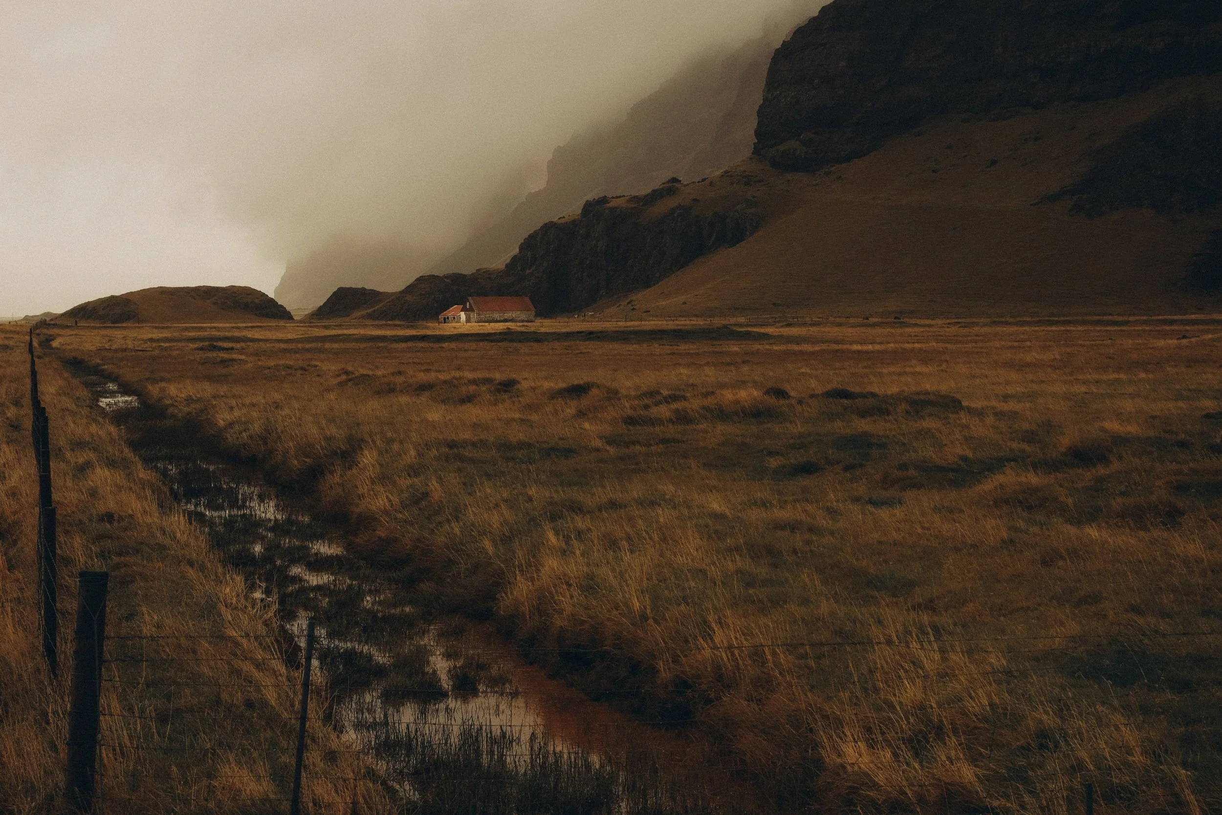 A rural landscape with a field of tall golden grass, a small house with a red roof in the distance, and large dark mountains shrouded in fog in the background.