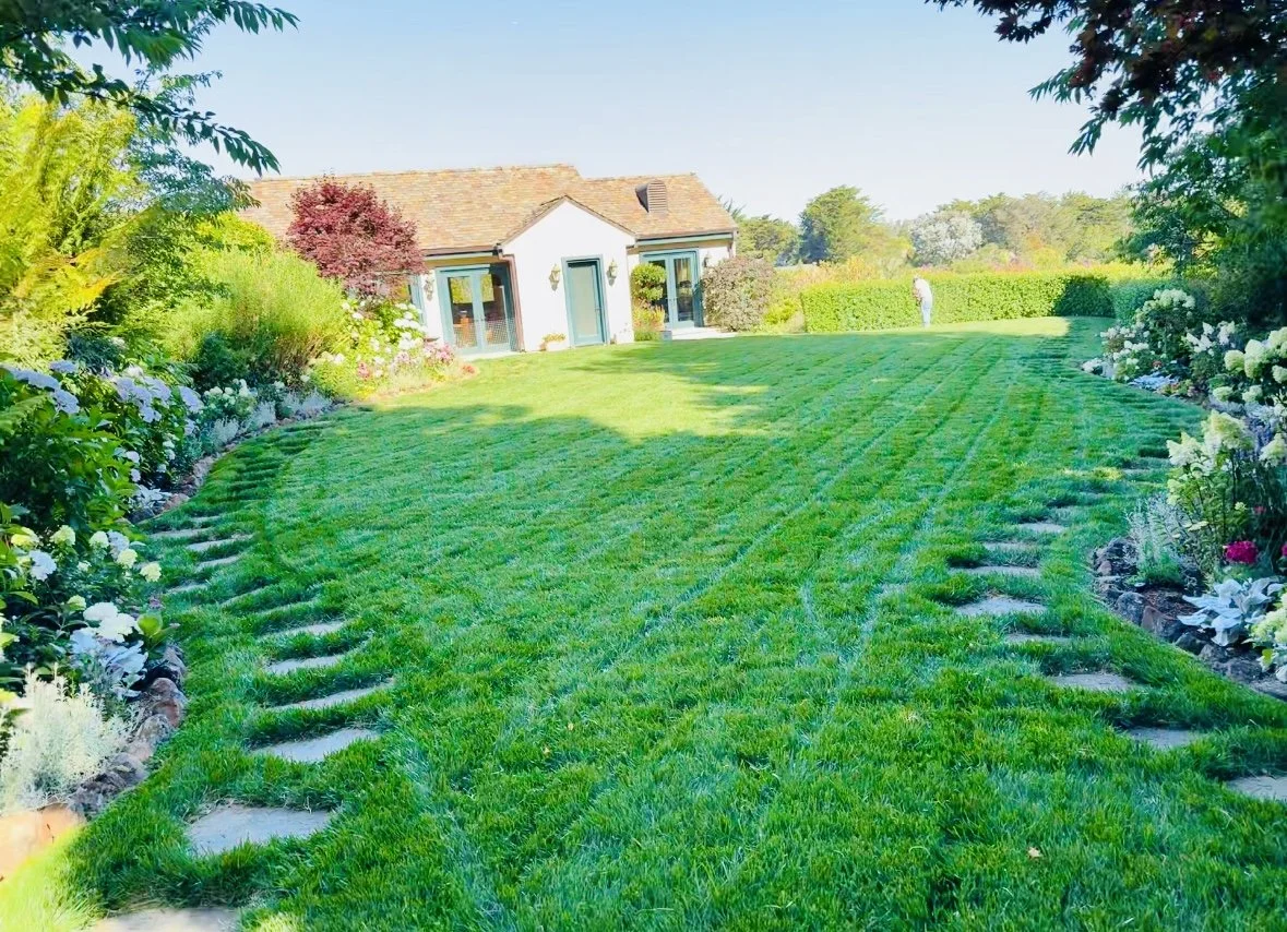 View recent photos copy 4.jpg