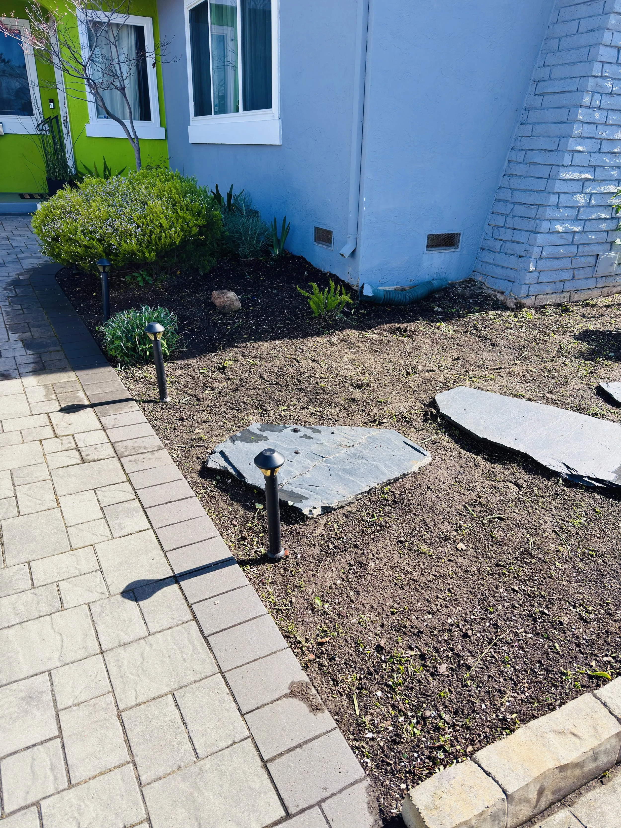 Overgrown Weed Cleanup