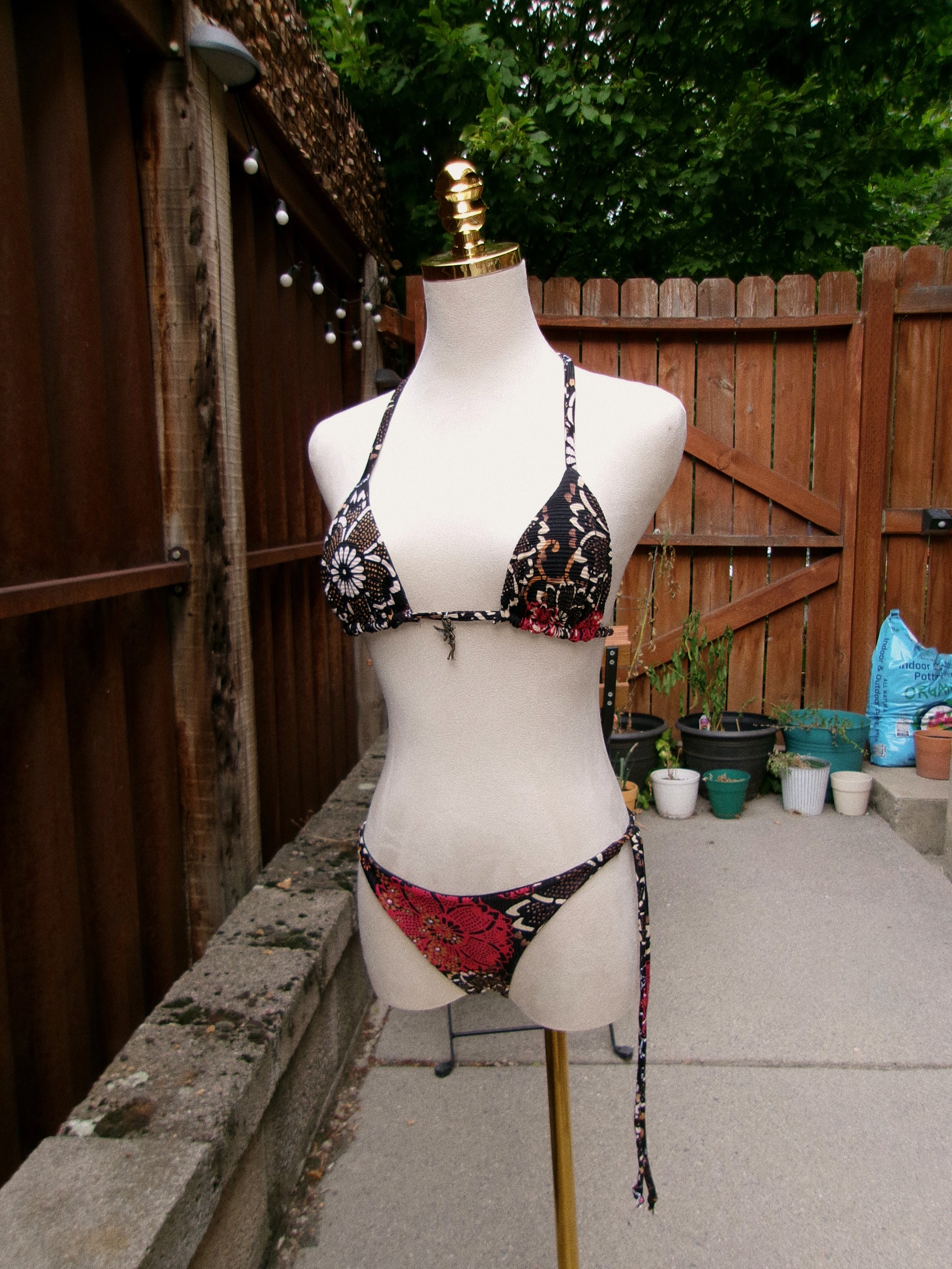 Tezza-6003.JPG