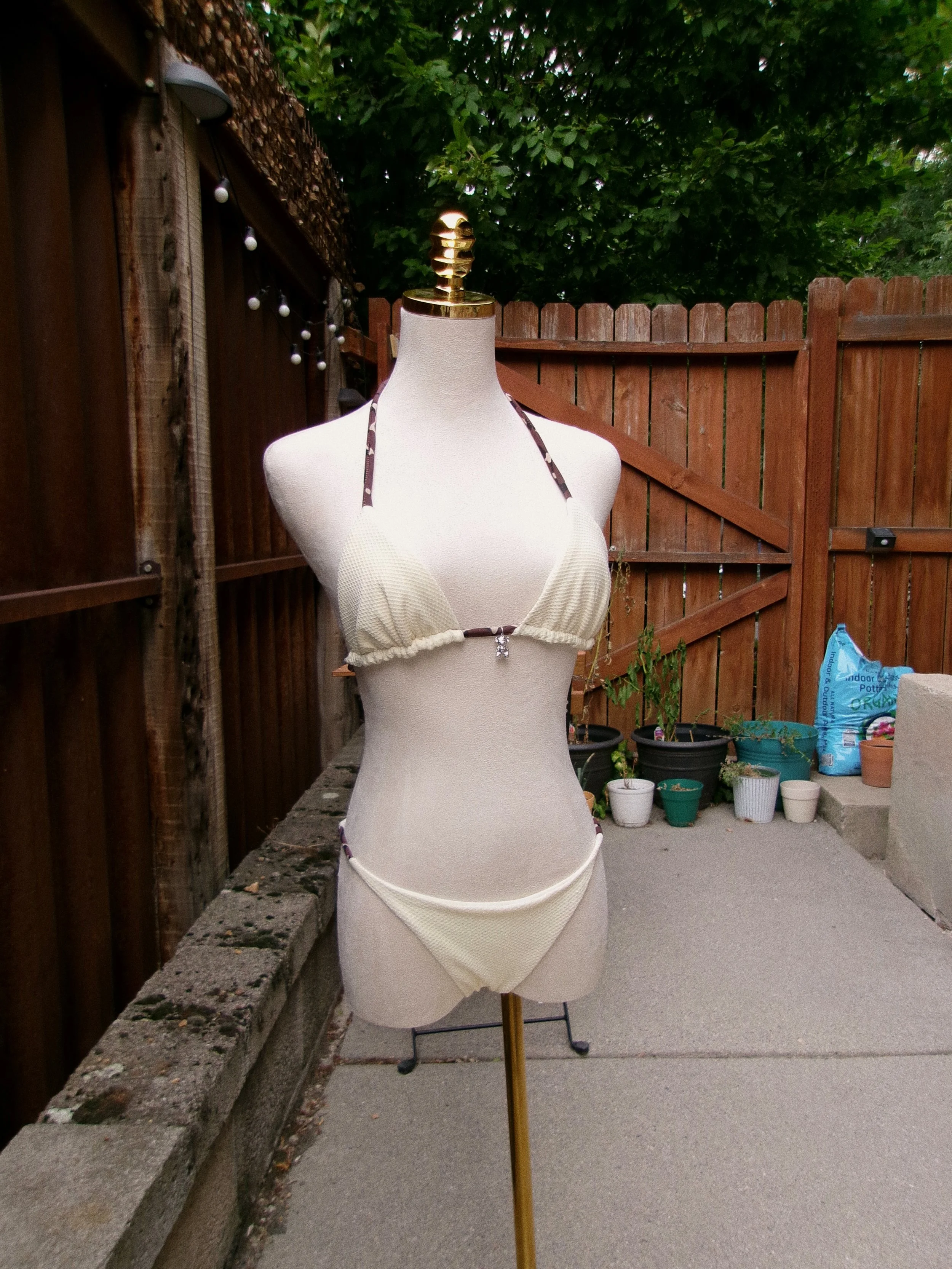 Tezza-5688.JPG